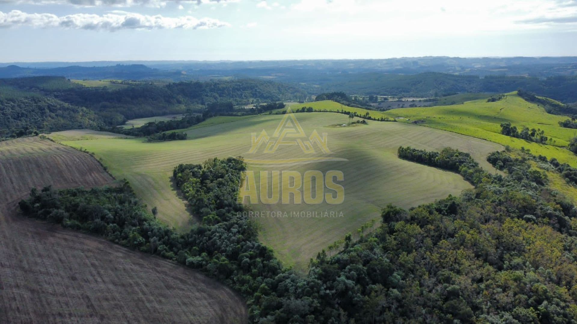 Fazenda em Papanduva/SC – 130 Hectares de Potencial e Produtividade!  - Imagem 1