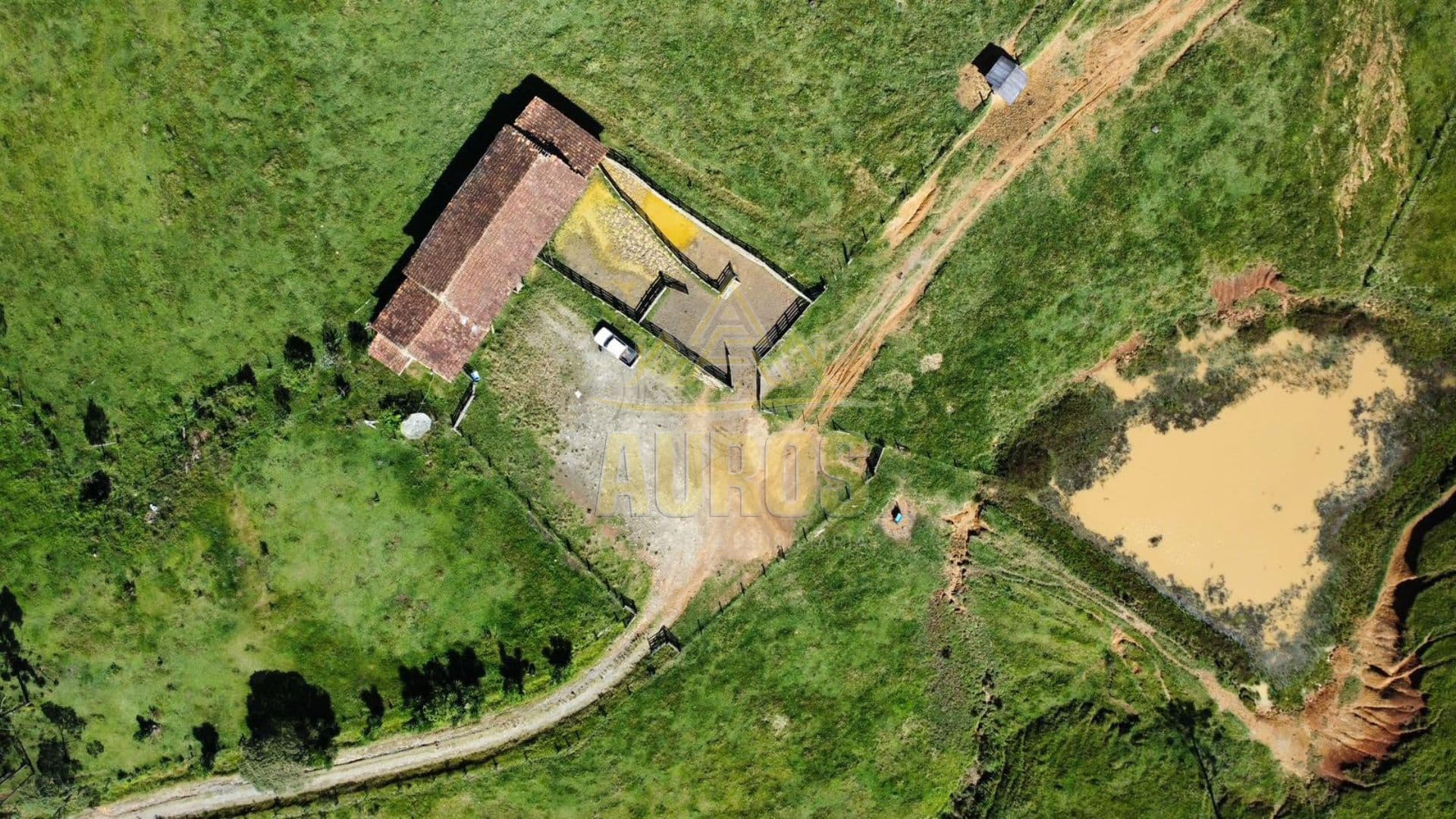  Fazenda em Papanduva/SC – 130 Hectares de Potencial e Produtividade!  - Imagem 3