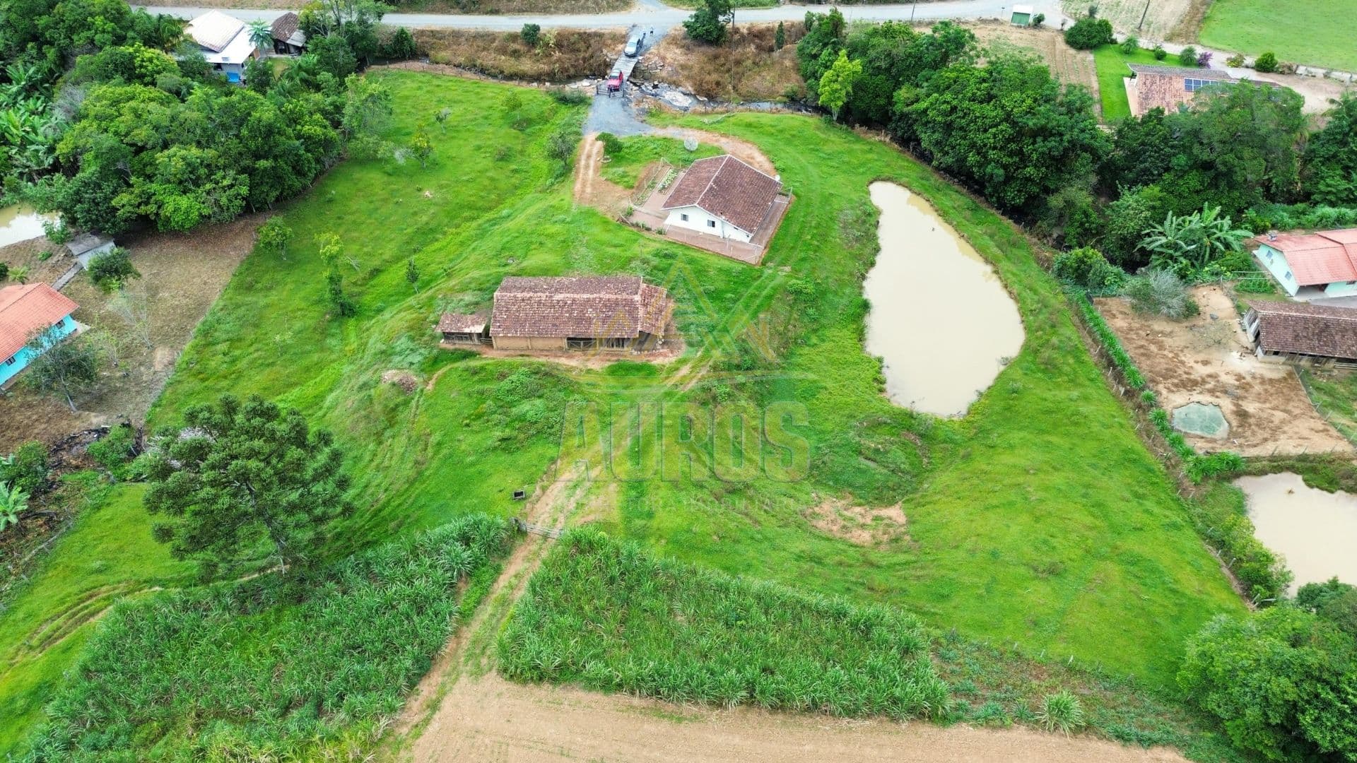 Sítio com Casa e Rancho – 12 Hectares no Alto Concórdia, Lontras - Imagem 3