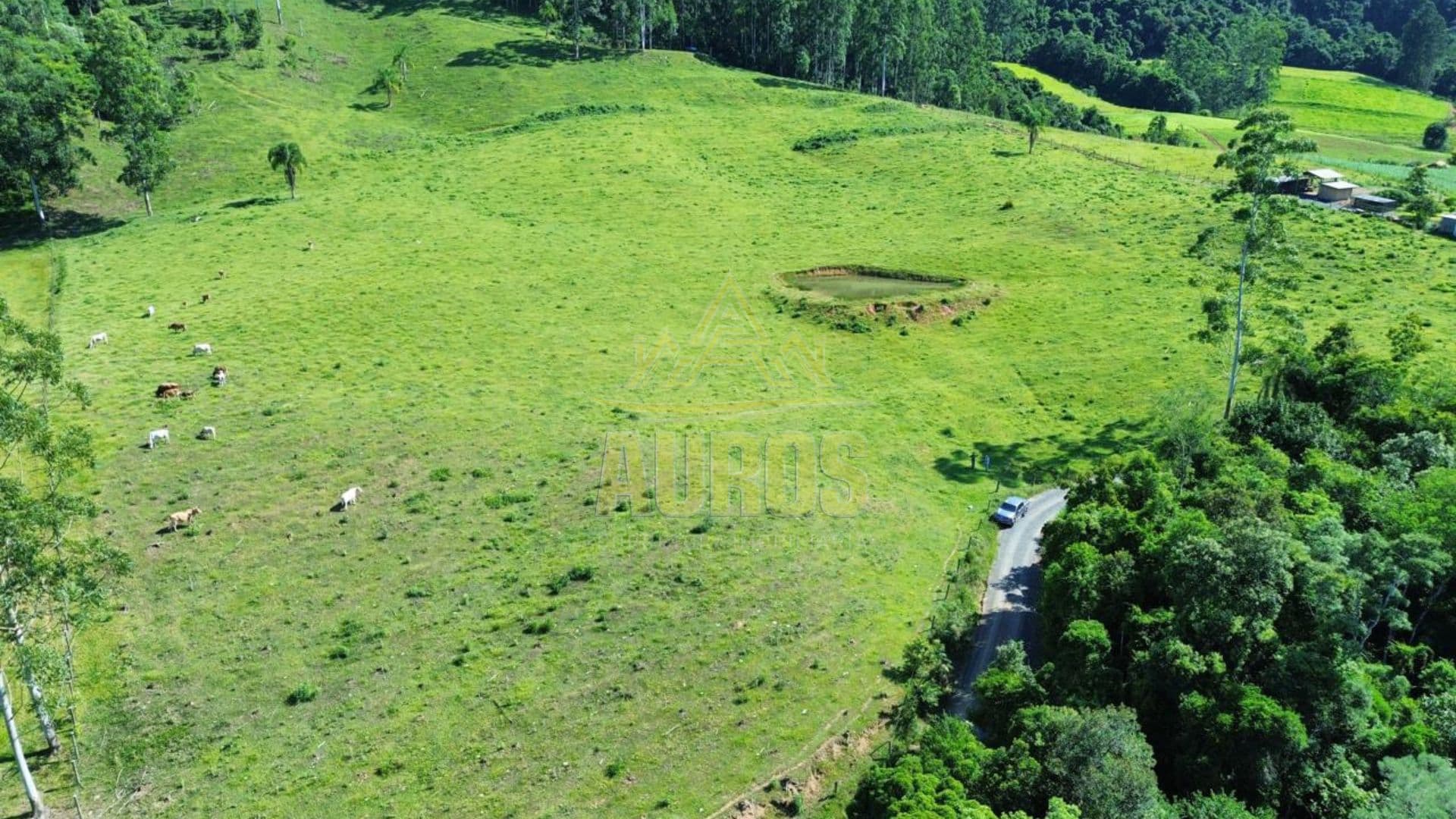 Terreno agrícola à venda em Aurora no Ribeirão Areia – 9,5 hectares  - Imagem 1