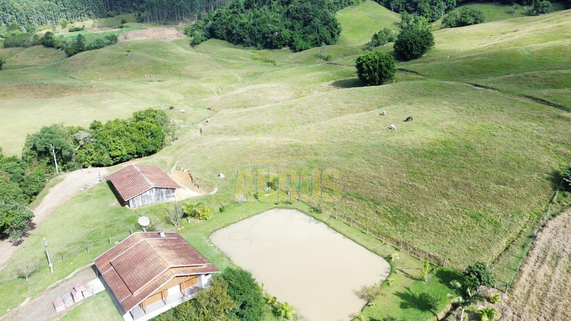Sítio à venda com 20 hectares, pastagem, casa e lagoa na Valada São Paulo – Rio do Sul - Imagem 1