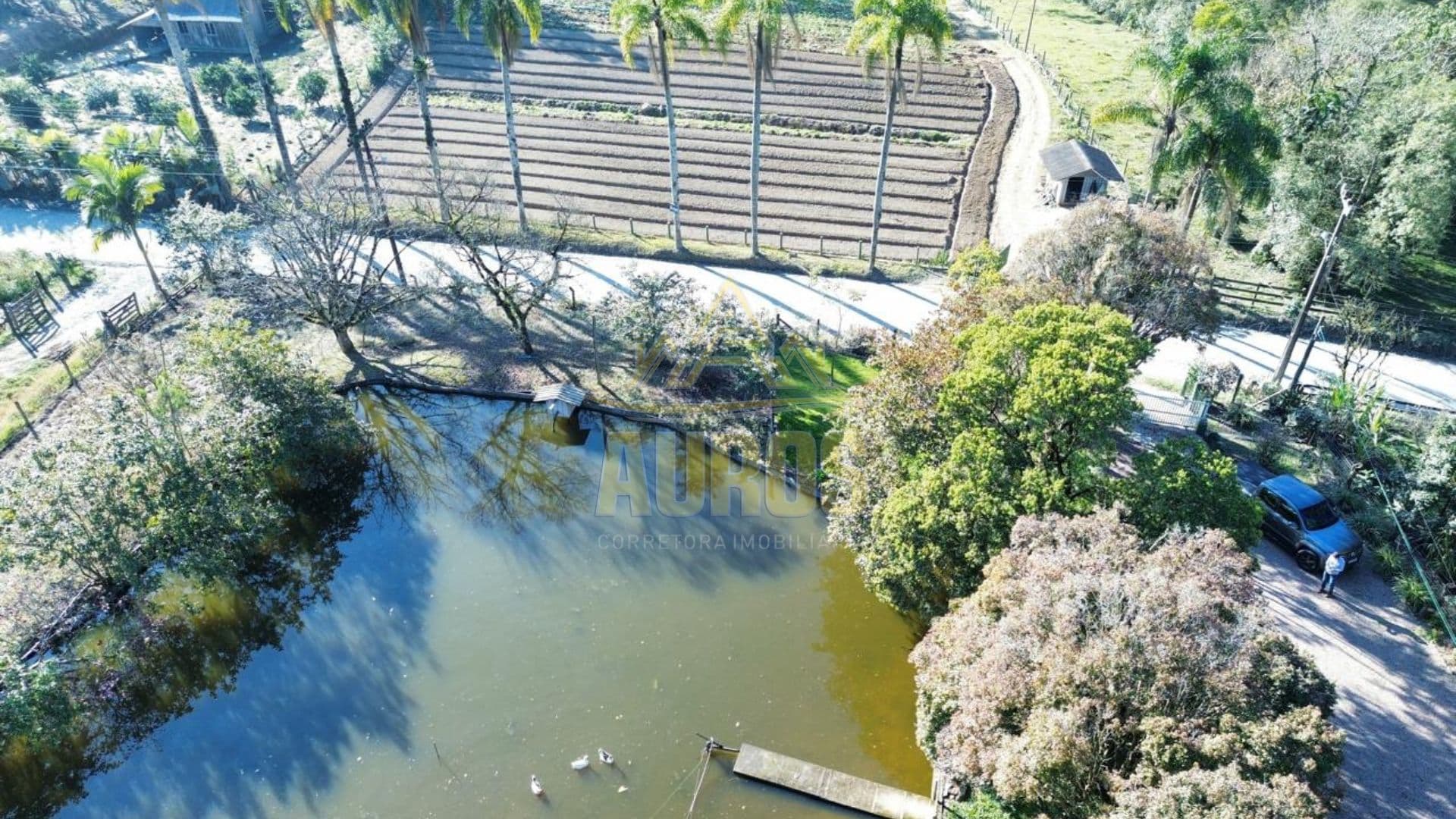 Sítio à venda na Albertina em Rio do Sul com casa pronta, lagoa e pomar - Imagem 6
