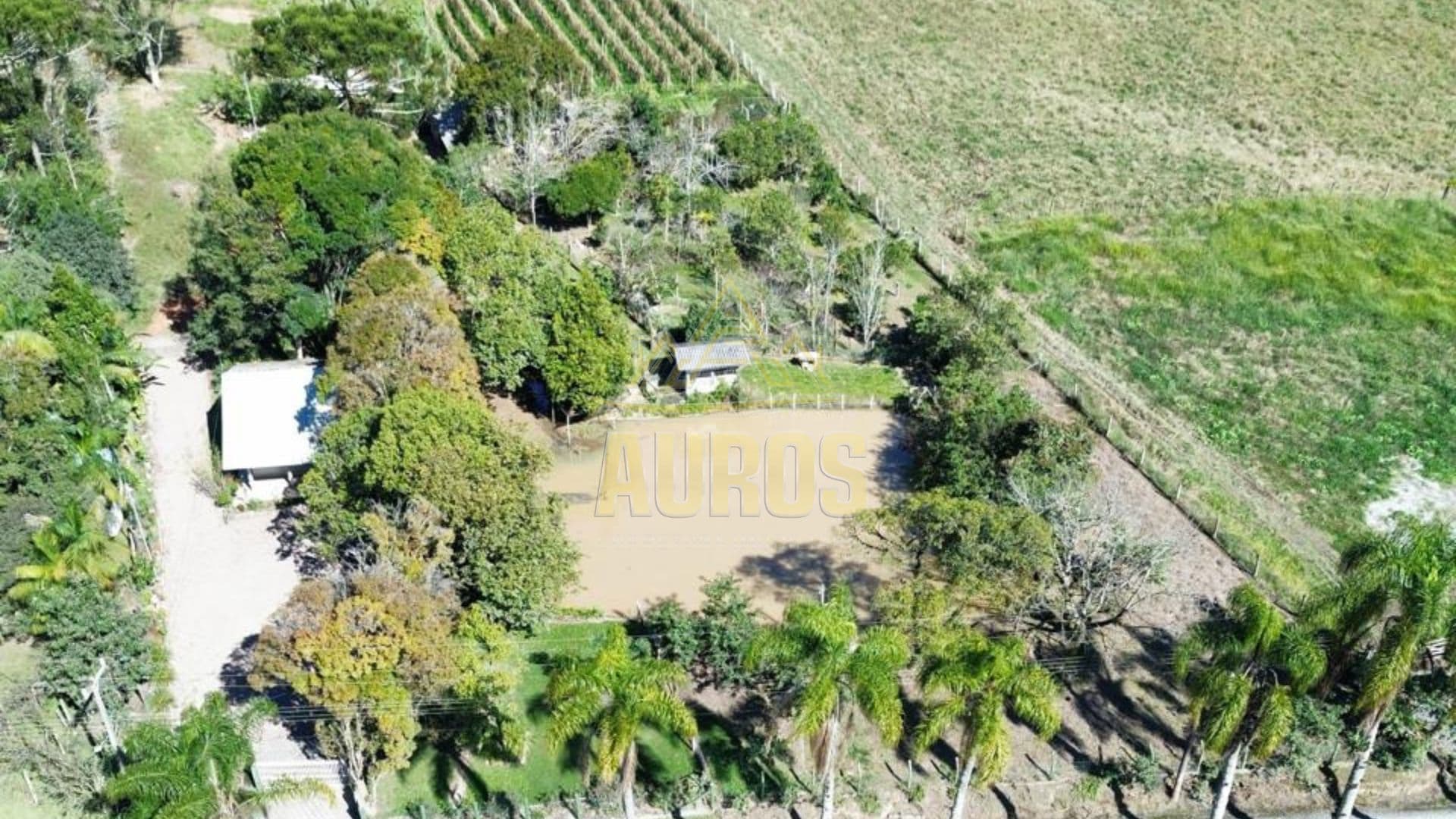 Sítio à venda na Albertina em Rio do Sul com casa pronta, lagoa e pomar - Imagem 1