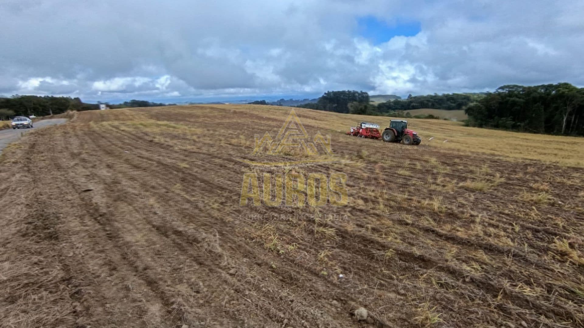 Terrenos Rurais à Venda em Ribeirão Laurentino/SC - Imagem 2