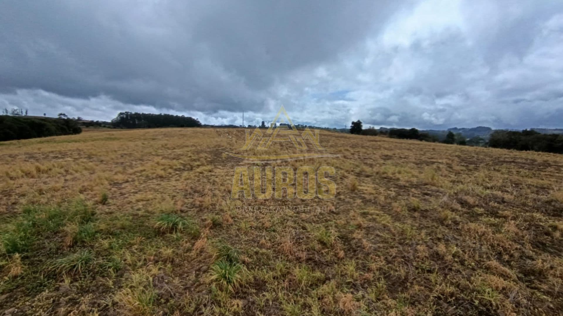 Terrenos Rurais à Venda em Ribeirão Laurentino/SC - Imagem 8