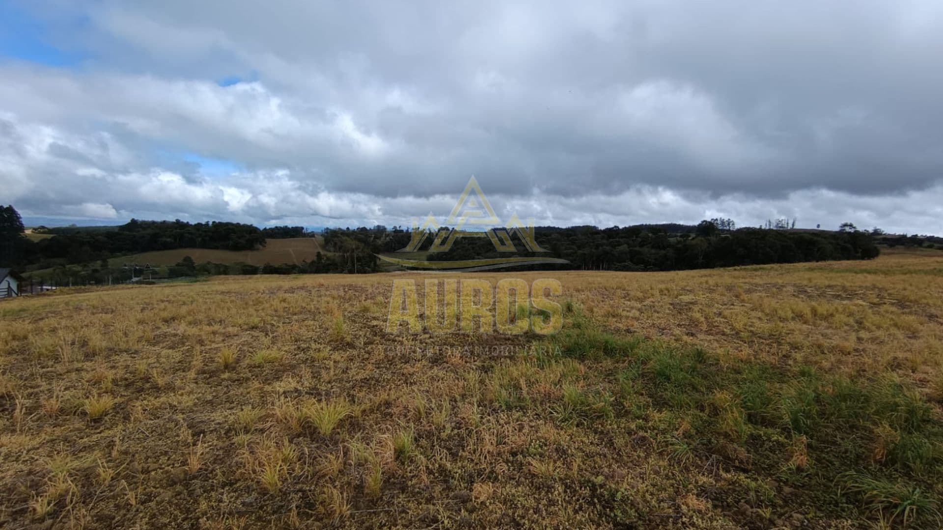 Terrenos Rurais à Venda em Ribeirão Laurentino/SC - Imagem 7
