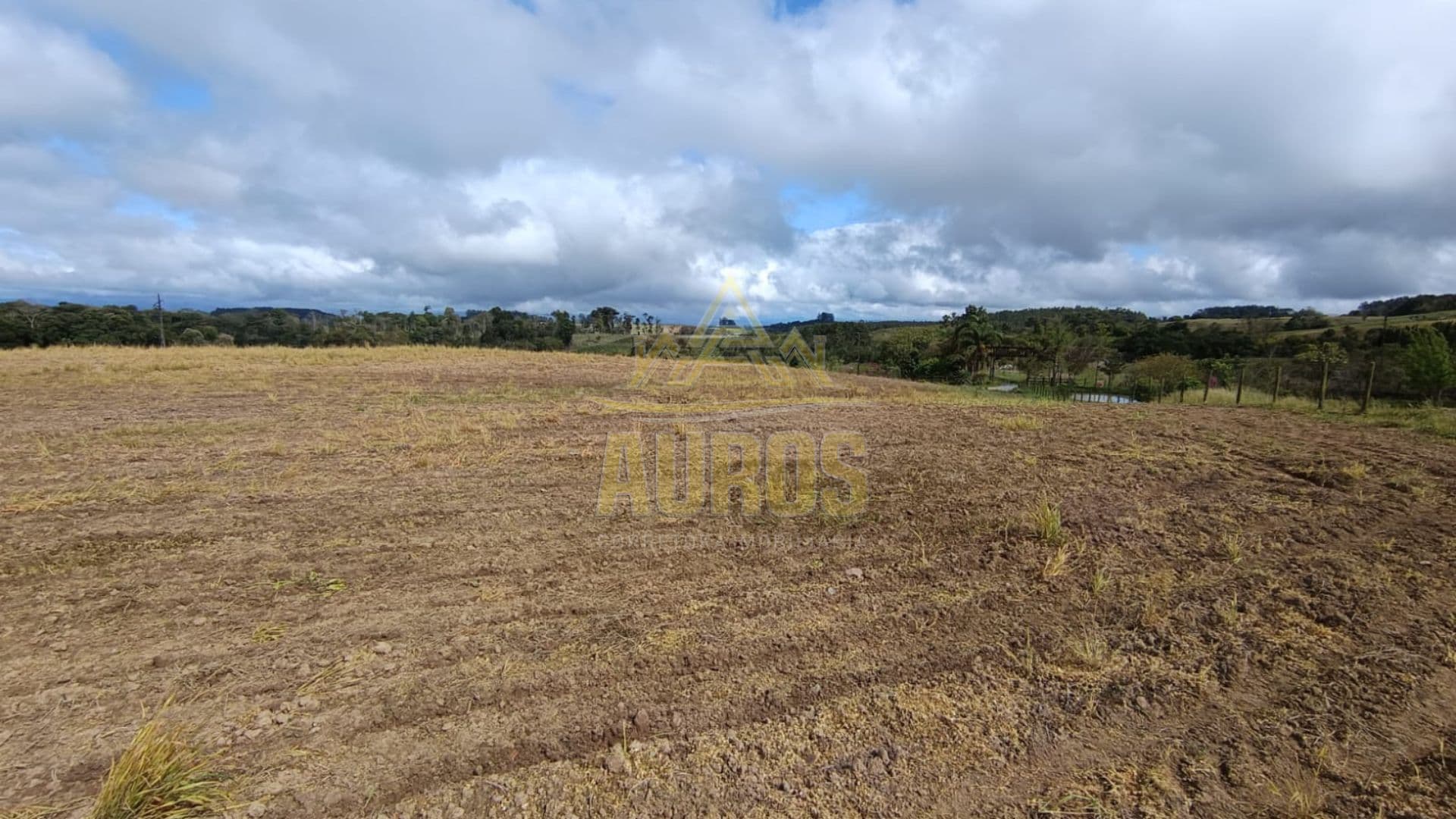 Terrenos Rurais à Venda em Ribeirão Laurentino/SC - Imagem 6