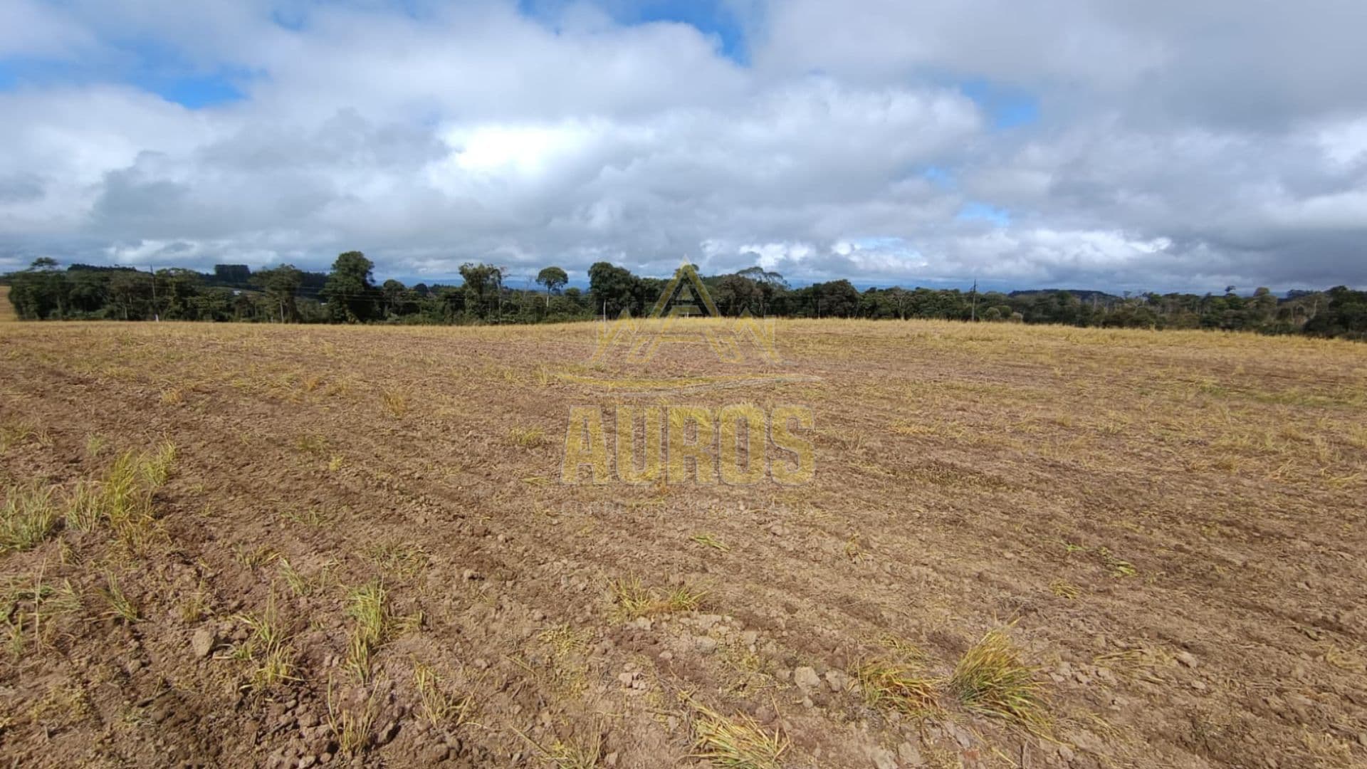 Terrenos Rurais à Venda em Ribeirão Laurentino/SC - Imagem 3