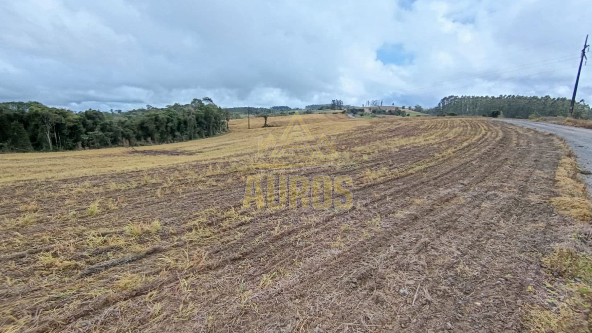 Terrenos Rurais à Venda em Ribeirão Laurentino/SC - Imagem 1