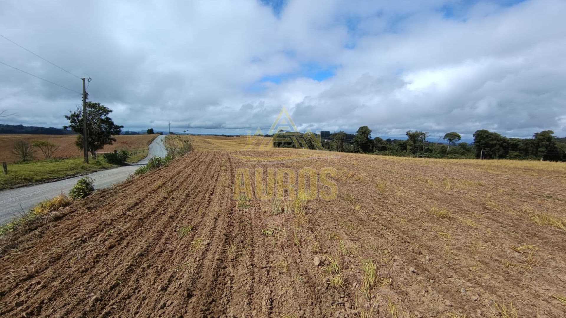 Terrenos Rurais à Venda em Ribeirão Laurentino/SC - Imagem 5