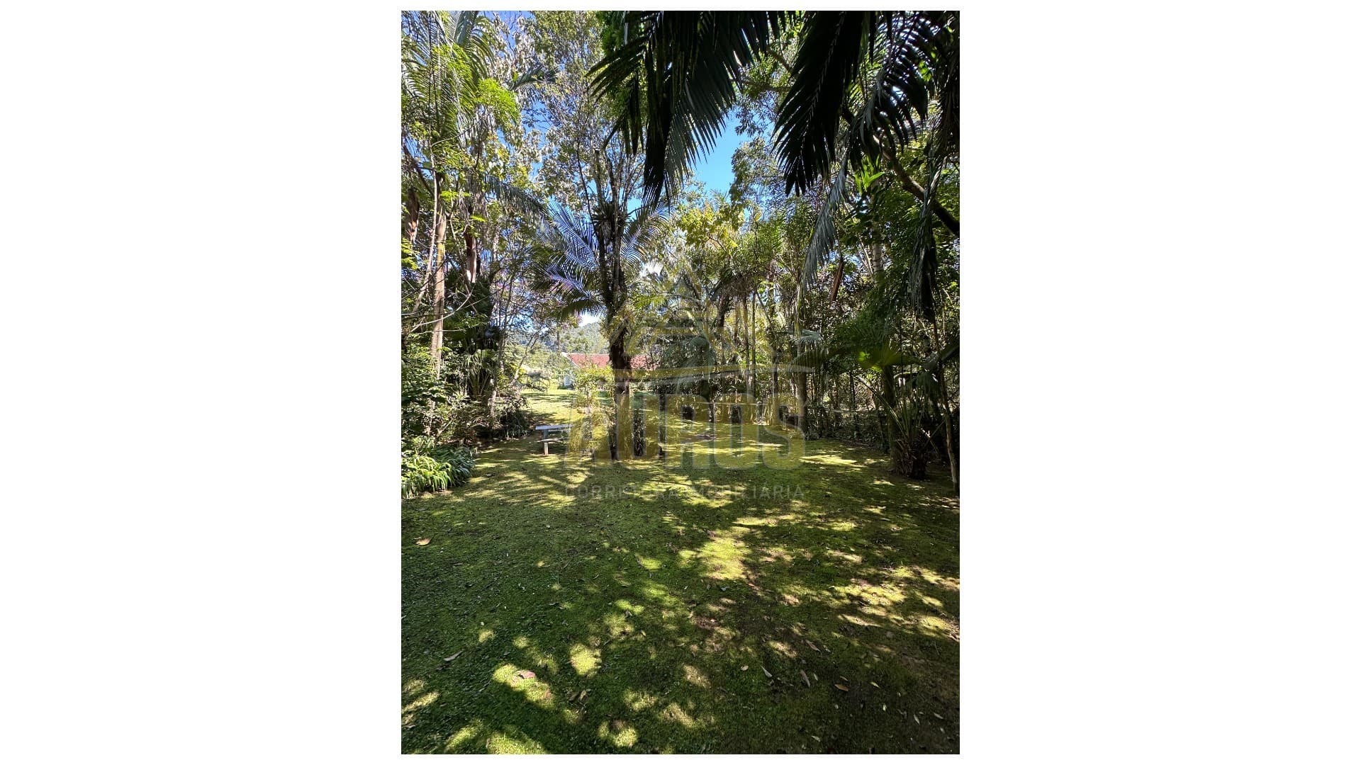 Sítio à Venda na Albertina, 8km do centro de Rio do Sul - Imagem 2