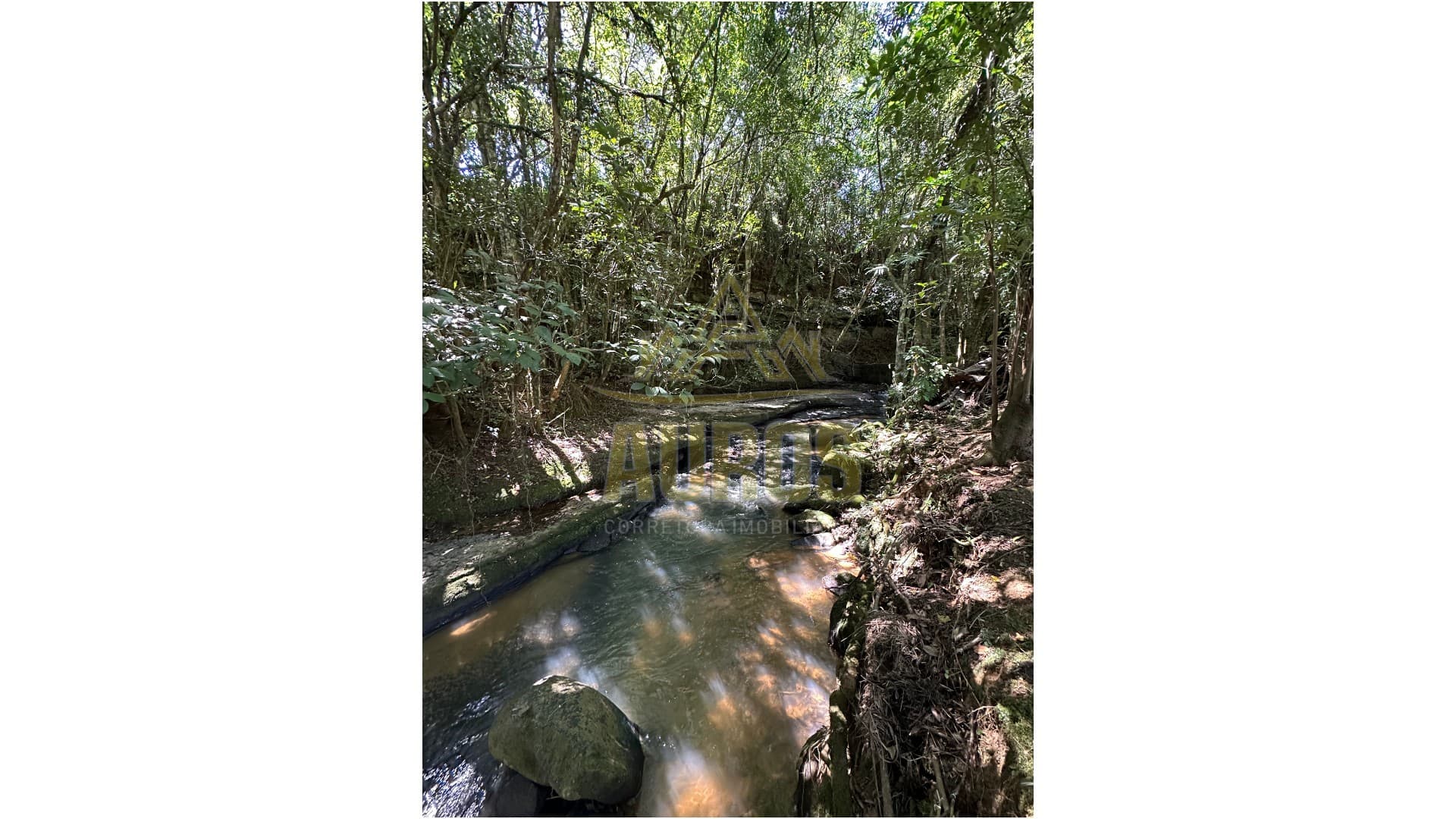 Sítio à Venda na Albertina, 8km do centro de Rio do Sul - Imagem 3