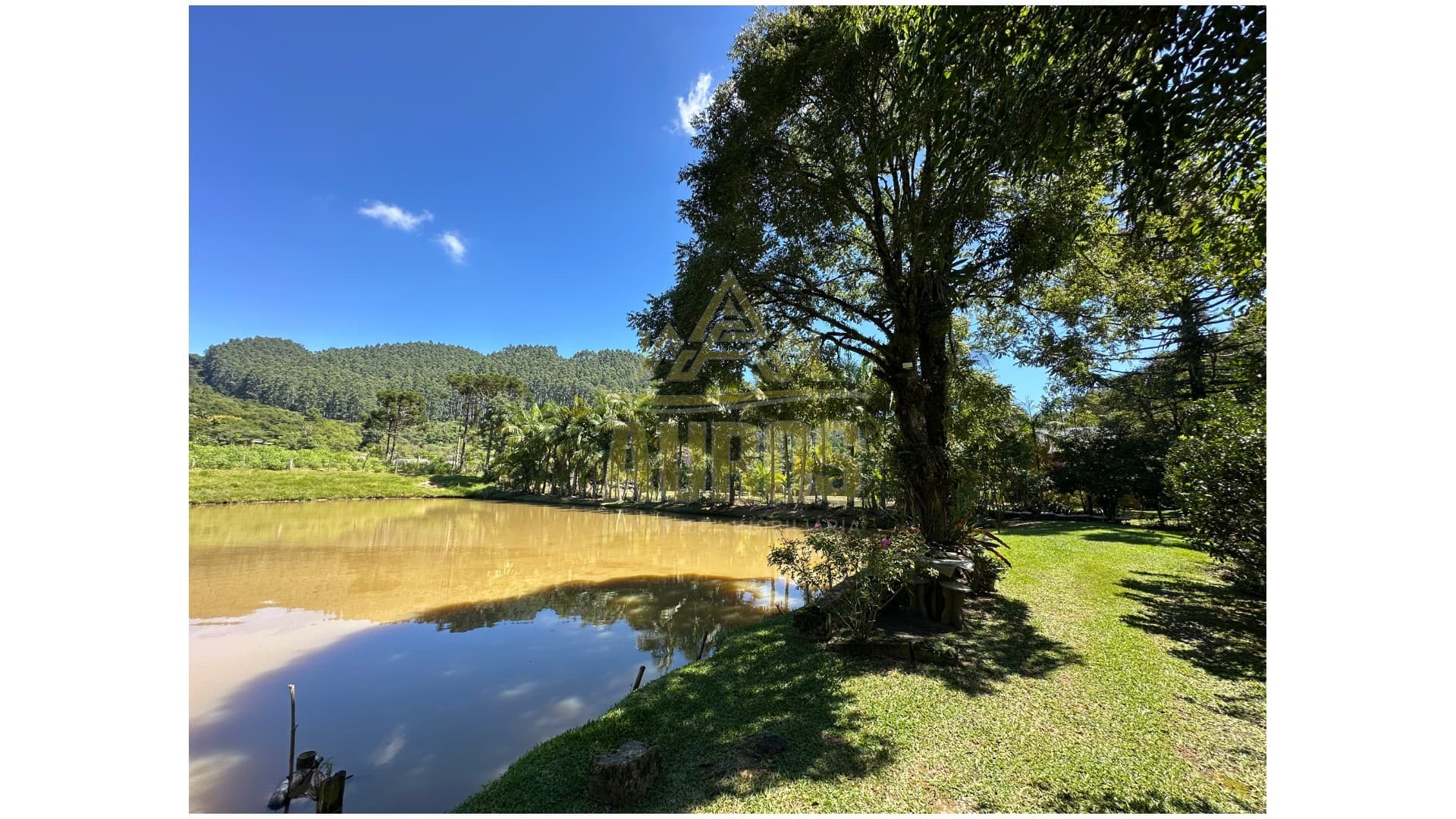 Sítio à Venda na Albertina, 8km do centro de Rio do Sul - Imagem 7