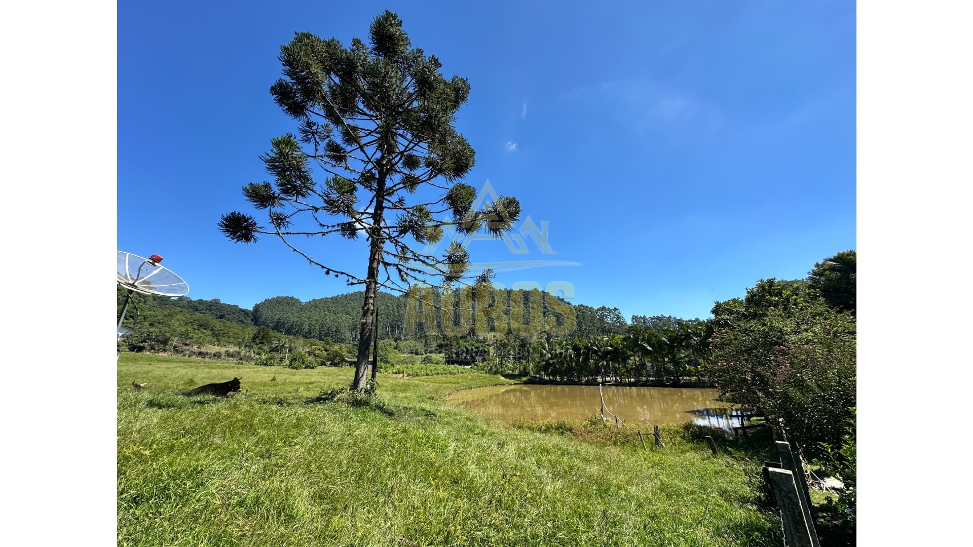 Sítio à Venda na Albertina, 8km do centro de Rio do Sul - Imagem 6