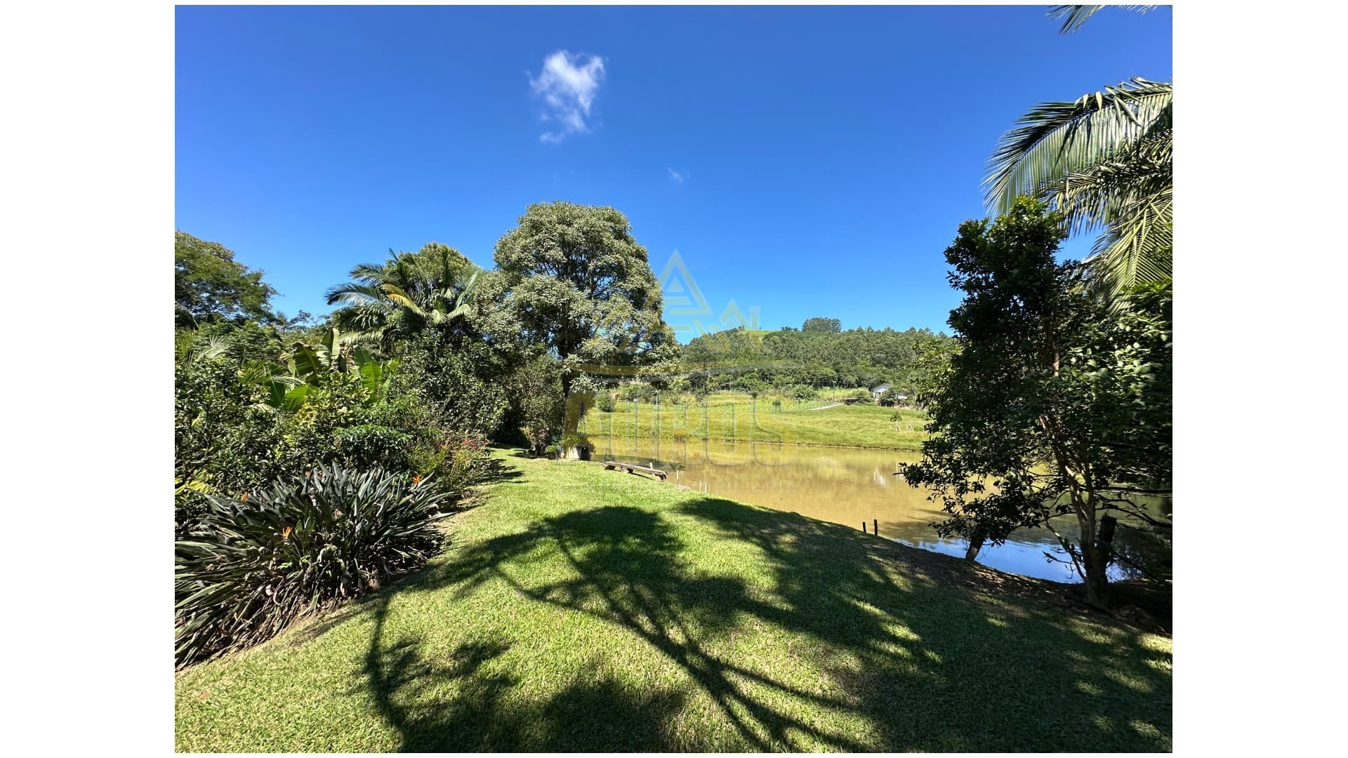 Sítio à Venda na Albertina, 8km do centro de Rio do Sul - Imagem 9
