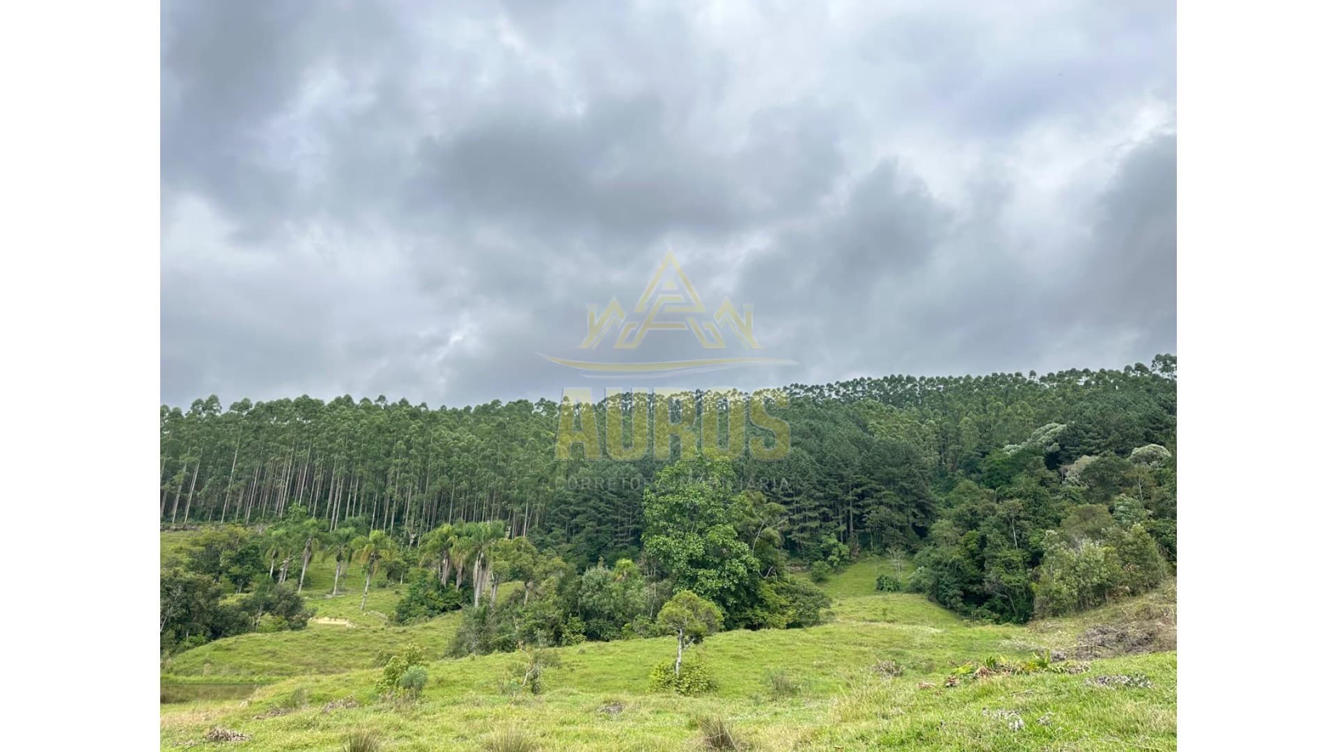 Terreno de 46 hectares no Alto Pombinhas - Imagem 2