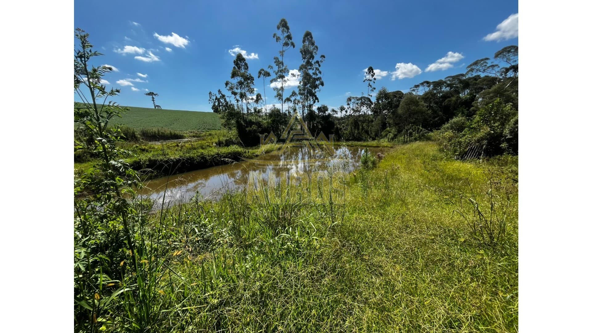 Sítio em Agronômica - Imagem 5