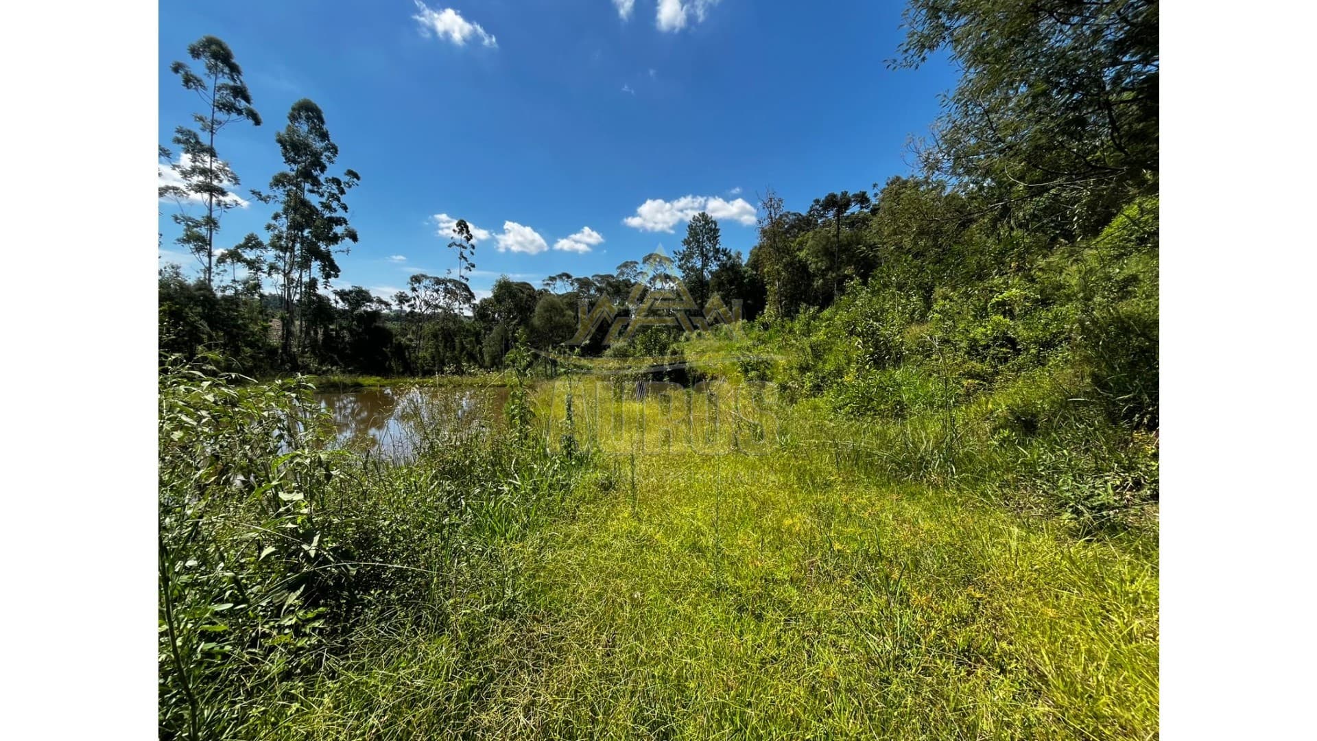 Sítio em Agronômica - Imagem 8