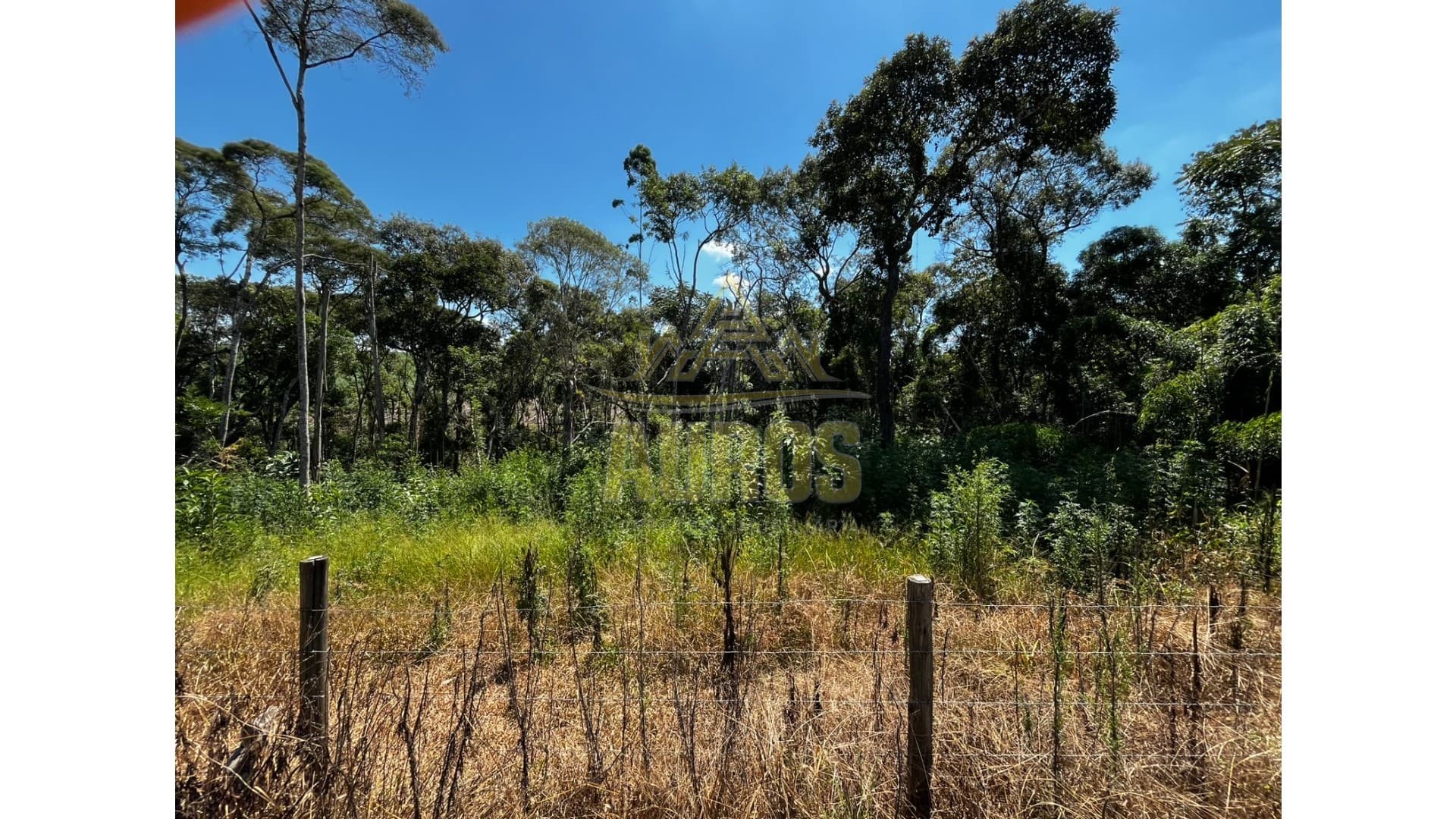 Sítio em Agronômica - Imagem 9