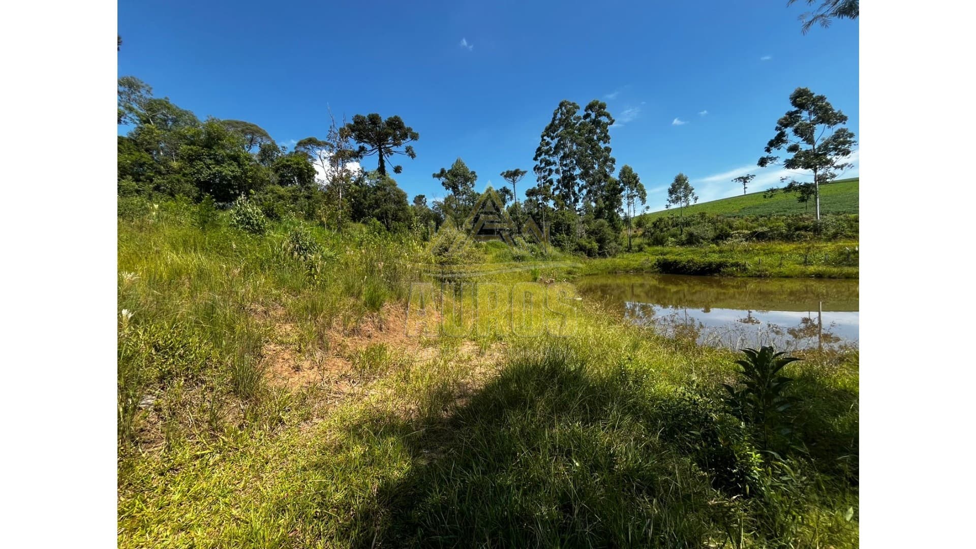 Sítio em Agronômica - Imagem 10