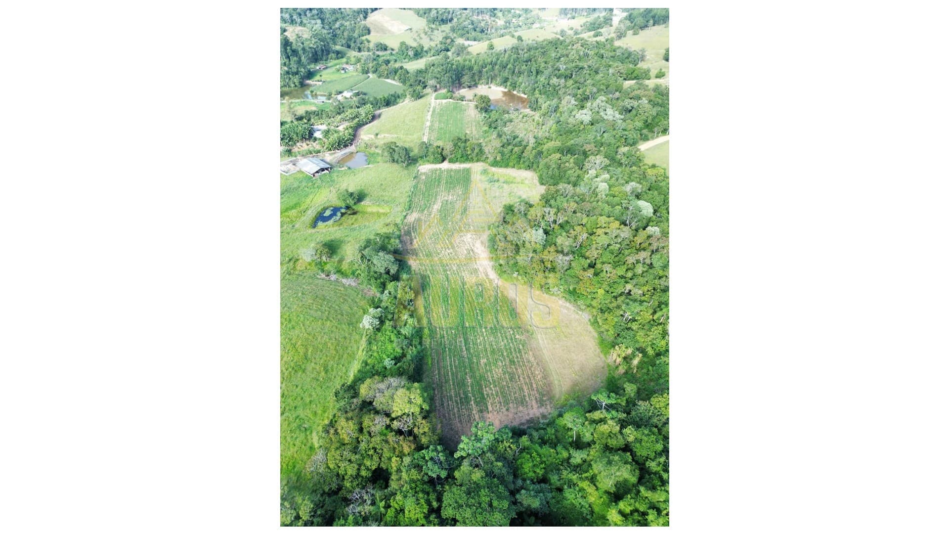 Terreno Agrícola no Ribeirão Concórdia em Lontras - Imagem 1