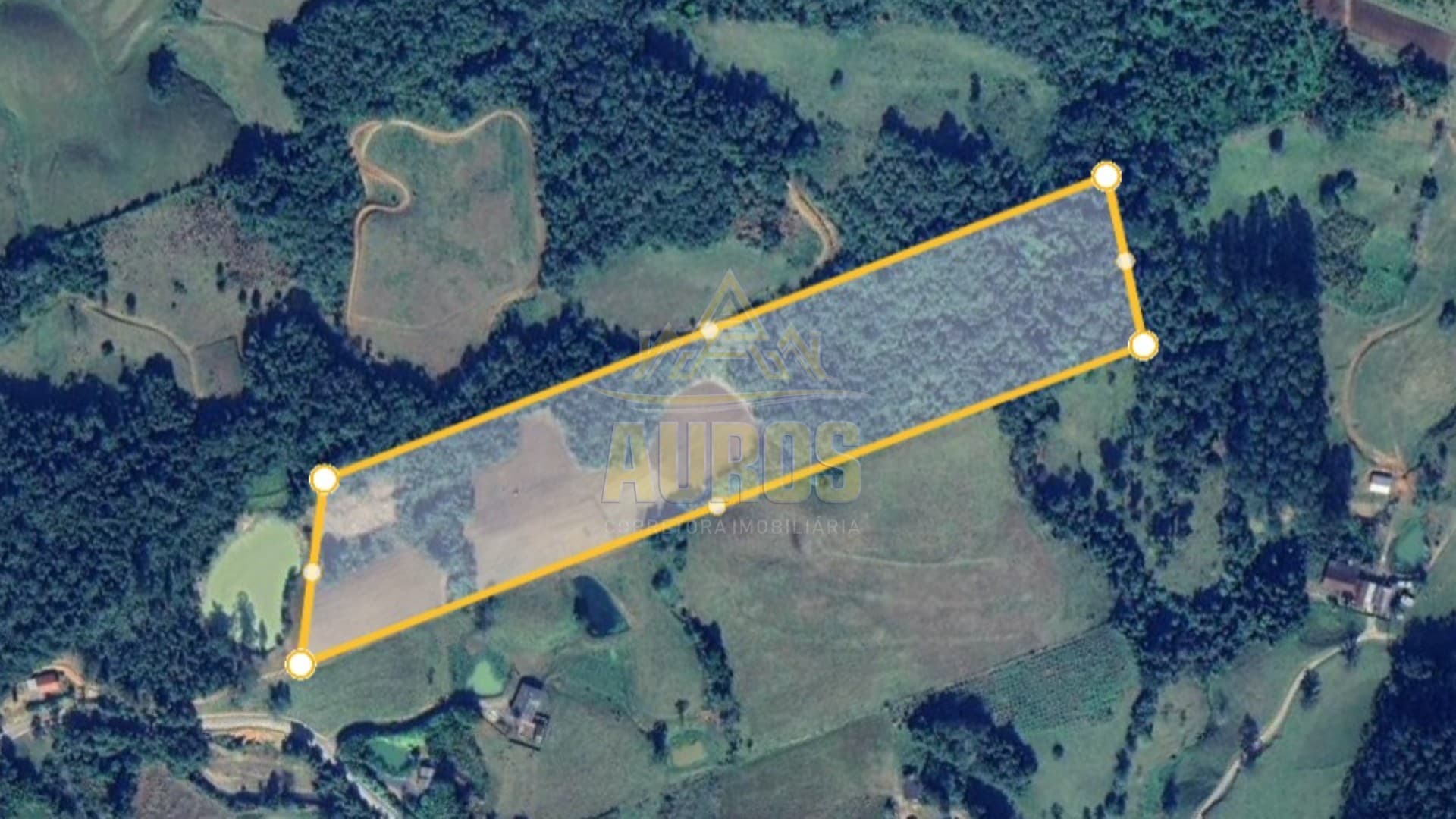 Terreno Agrícola no Ribeirão Concórdia em Lontras - Imagem 3