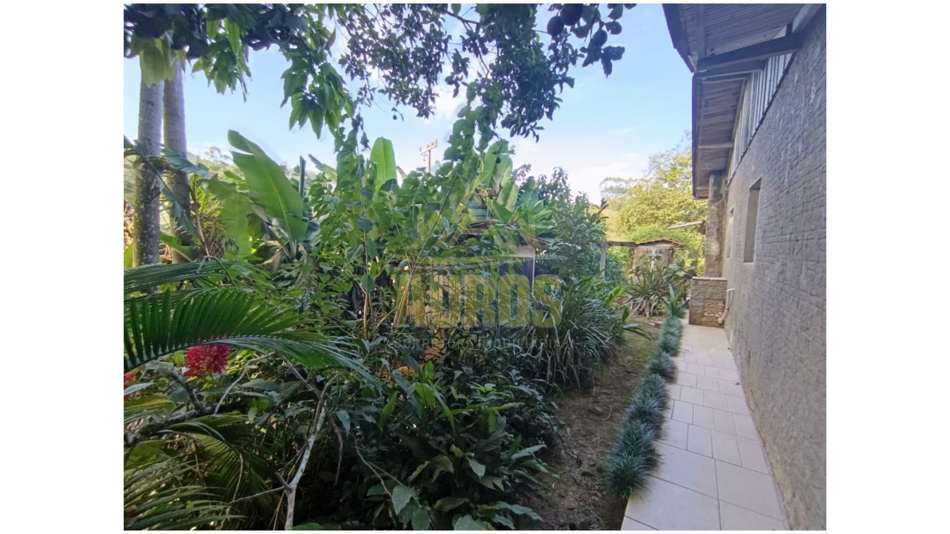 Sítio a 6km do centro de Lontras - Imagem 7