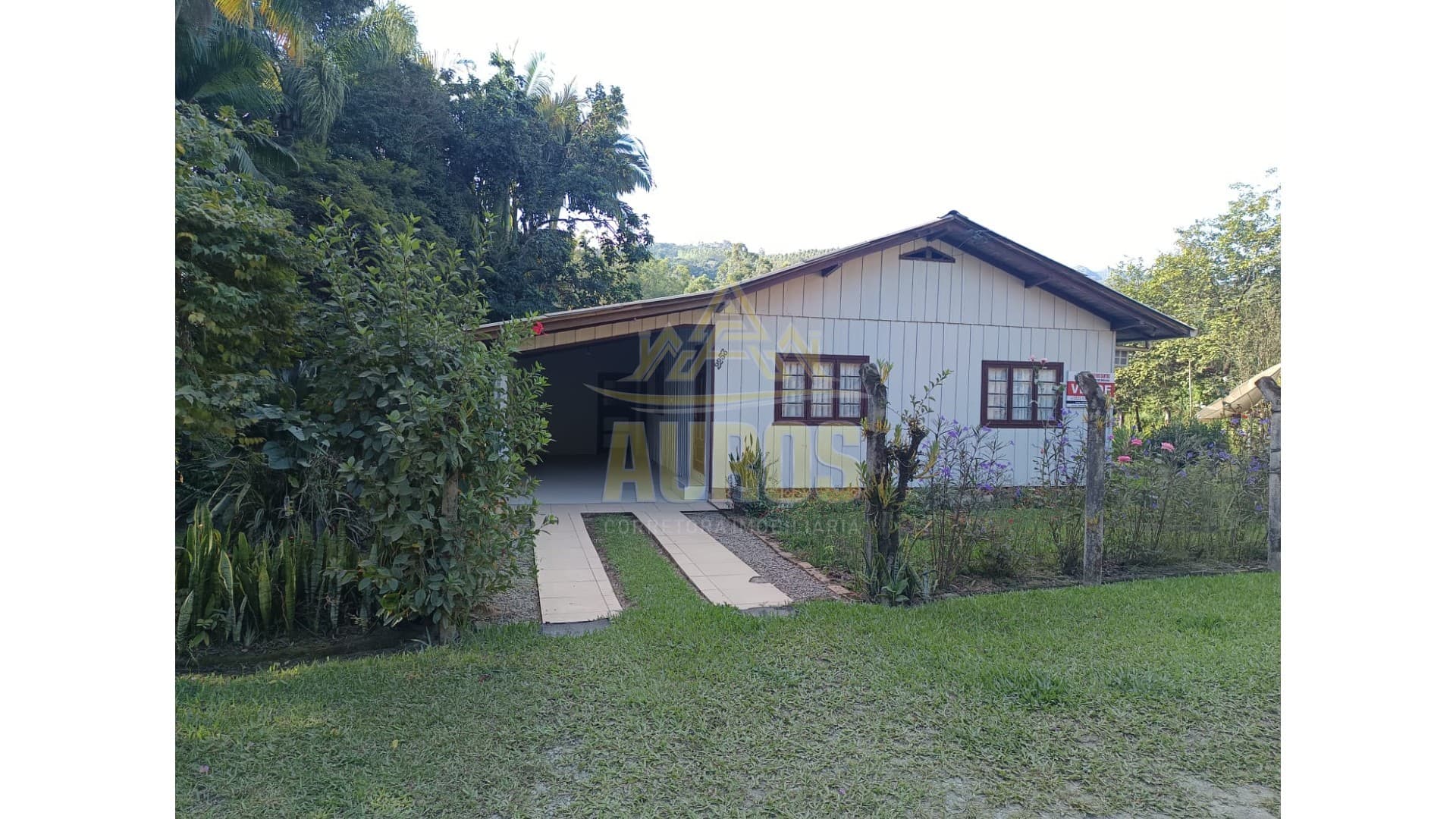 Sítio a 6km do centro de Lontras - Imagem 5