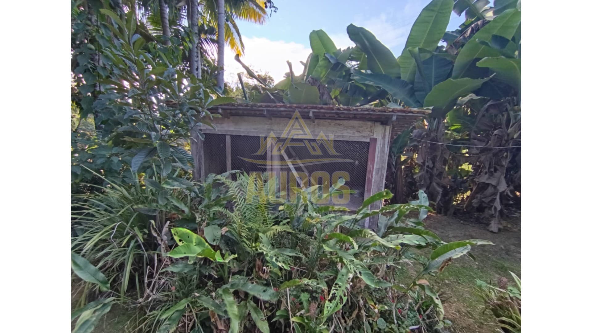 Sítio a 6km do centro de Lontras - Imagem 10