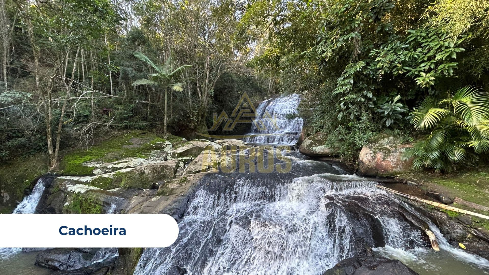 Sítio de 3 hectares com cachoeira exclusiva em Lontras - Foto 2