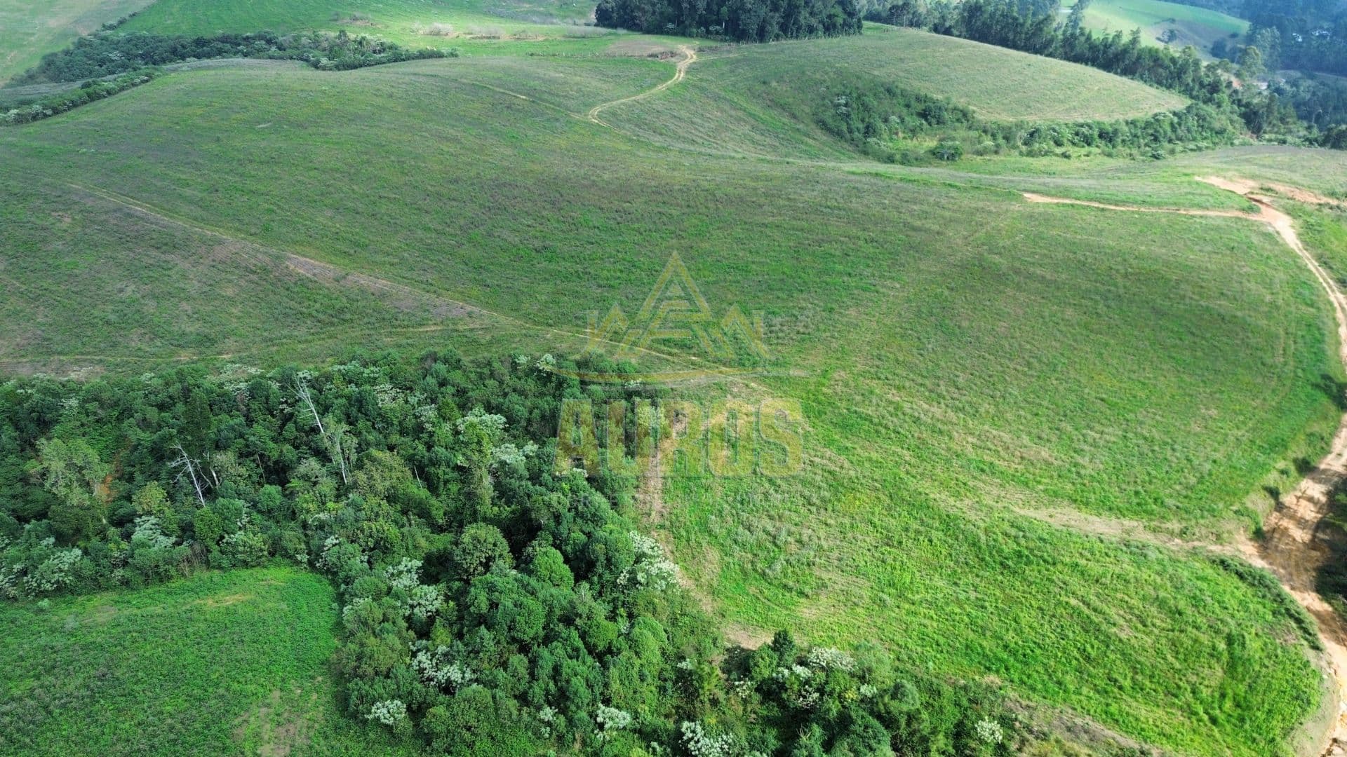 Fazenda de 53 hectares toda cercada em Rio do Sul - Foto 1