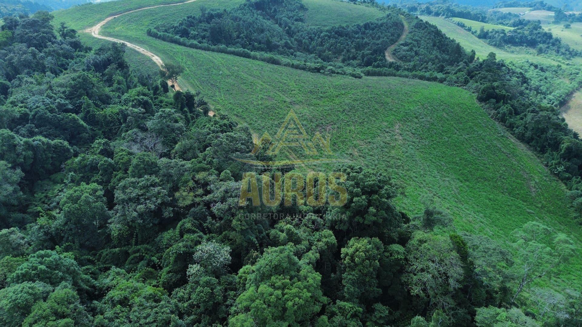 Fazenda de 53 hectares toda cercada em Rio do Sul - Foto 3