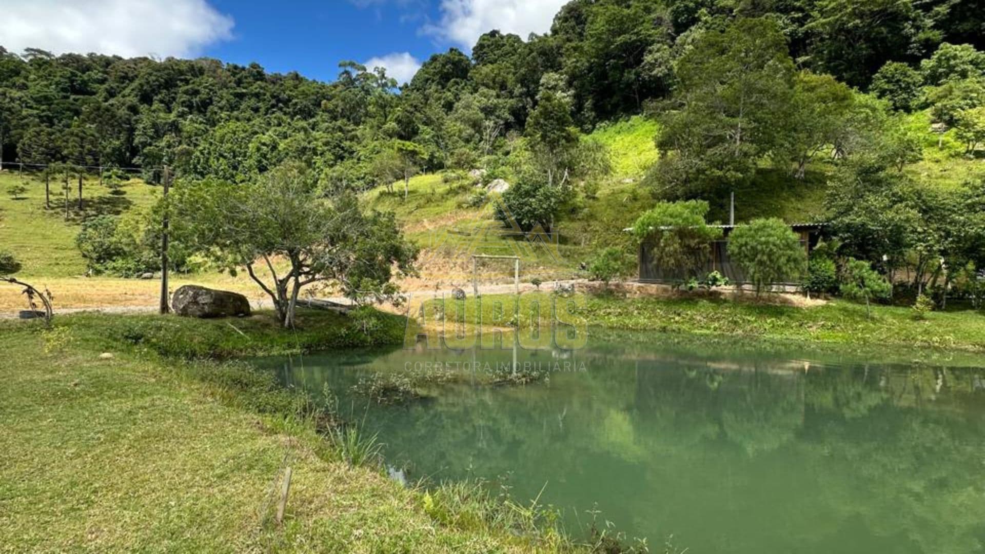 Terreno Rural à Venda em Ribeirão do Tigre | 35.000 m² com Casa, Lagoa e Galpão - Foto 3