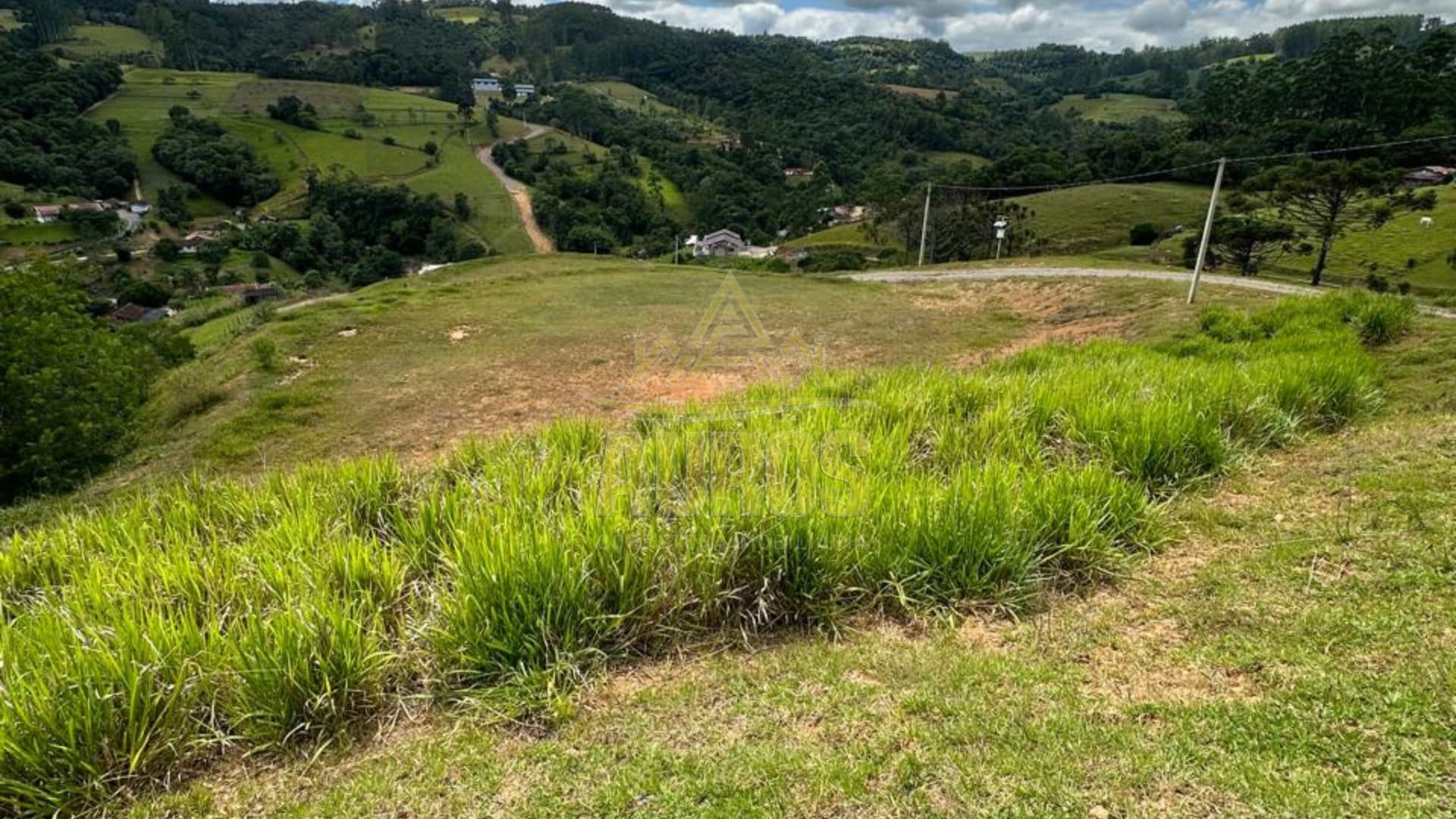 Terreno Rural à Venda em Ribeirão do Tigre | 35.000 m² com Casa, Lagoa e Galpão - Foto 4