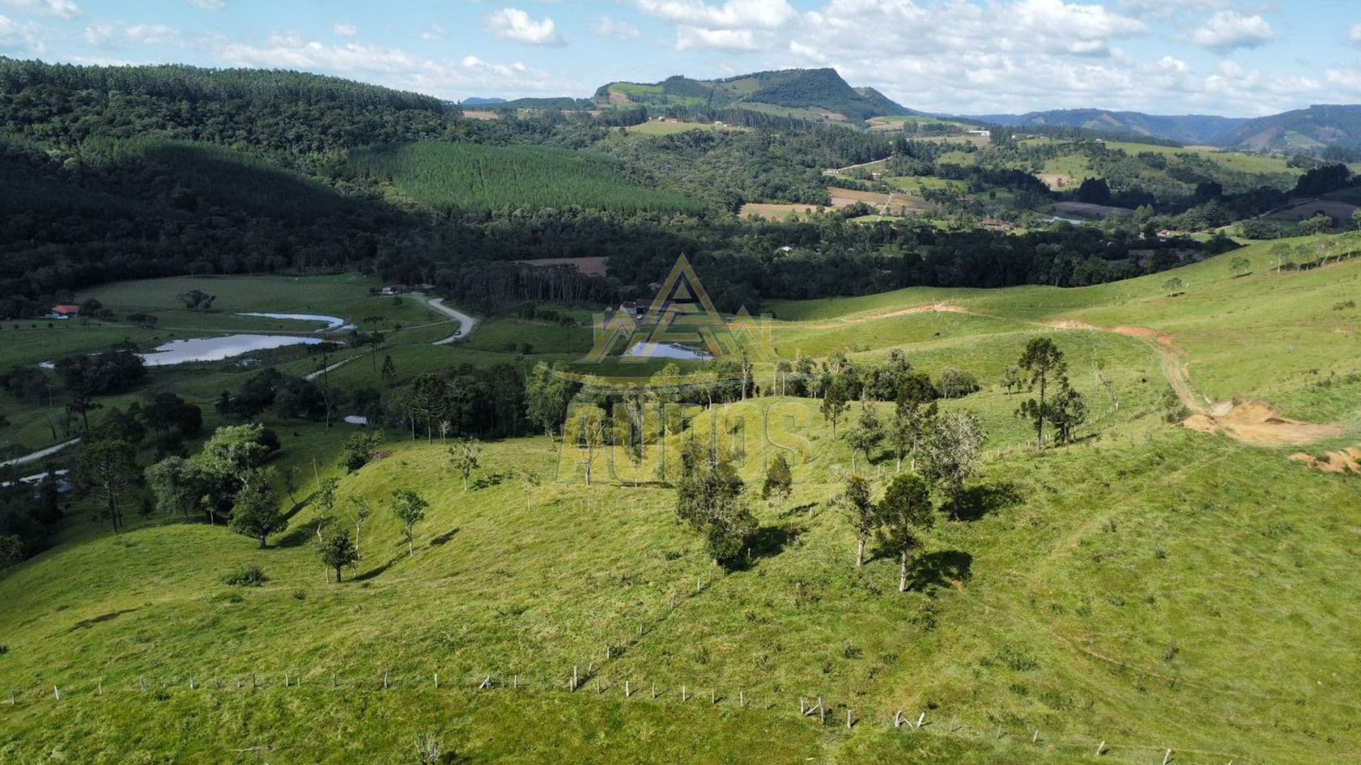  Fazenda em Papanduva/SC – 130 Hectares de Potencial e Produtividade!  - Foto 4