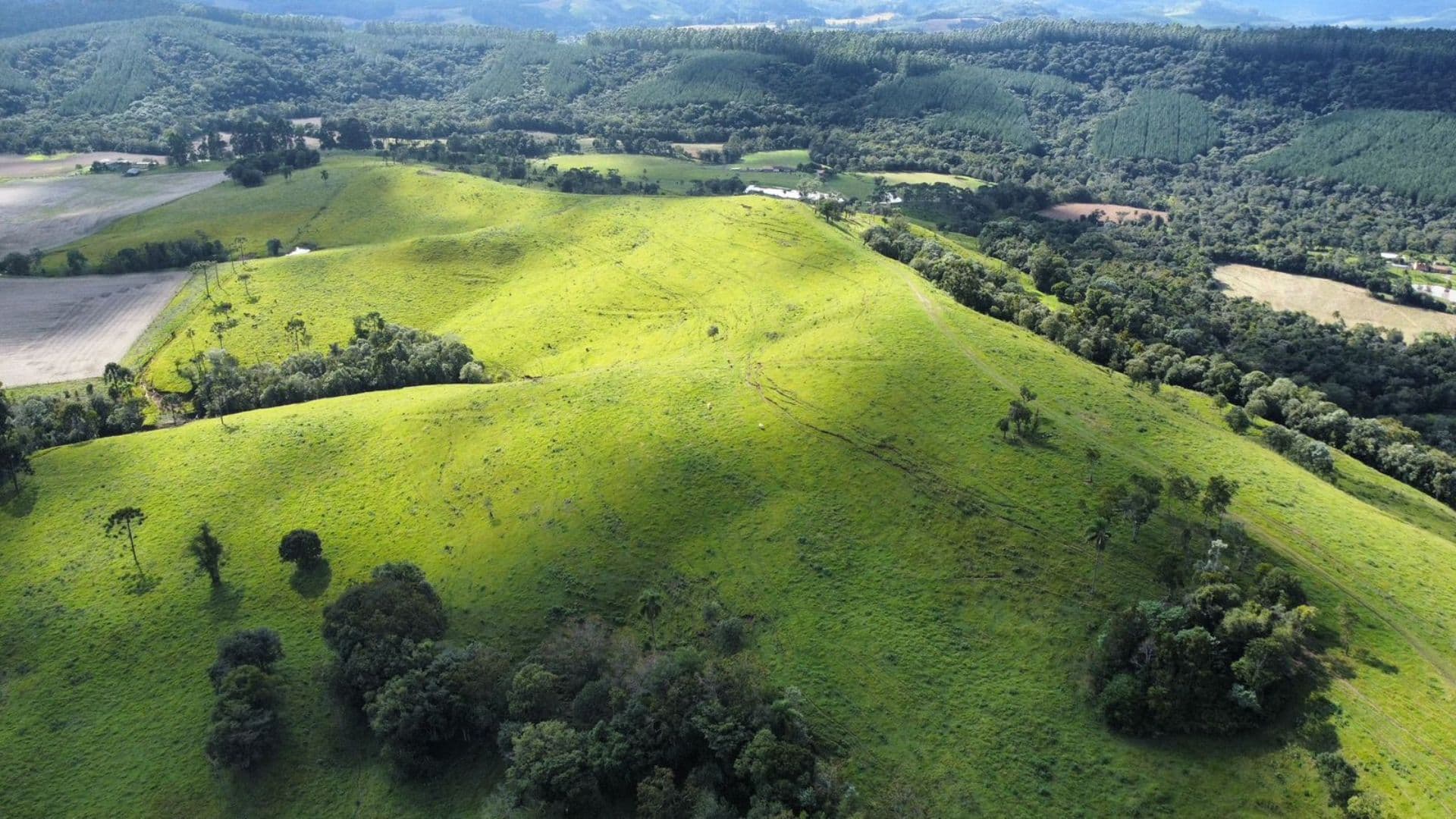  Fazenda em Papanduva/SC – 130 Hectares de Potencial e Produtividade!  - Foto 2