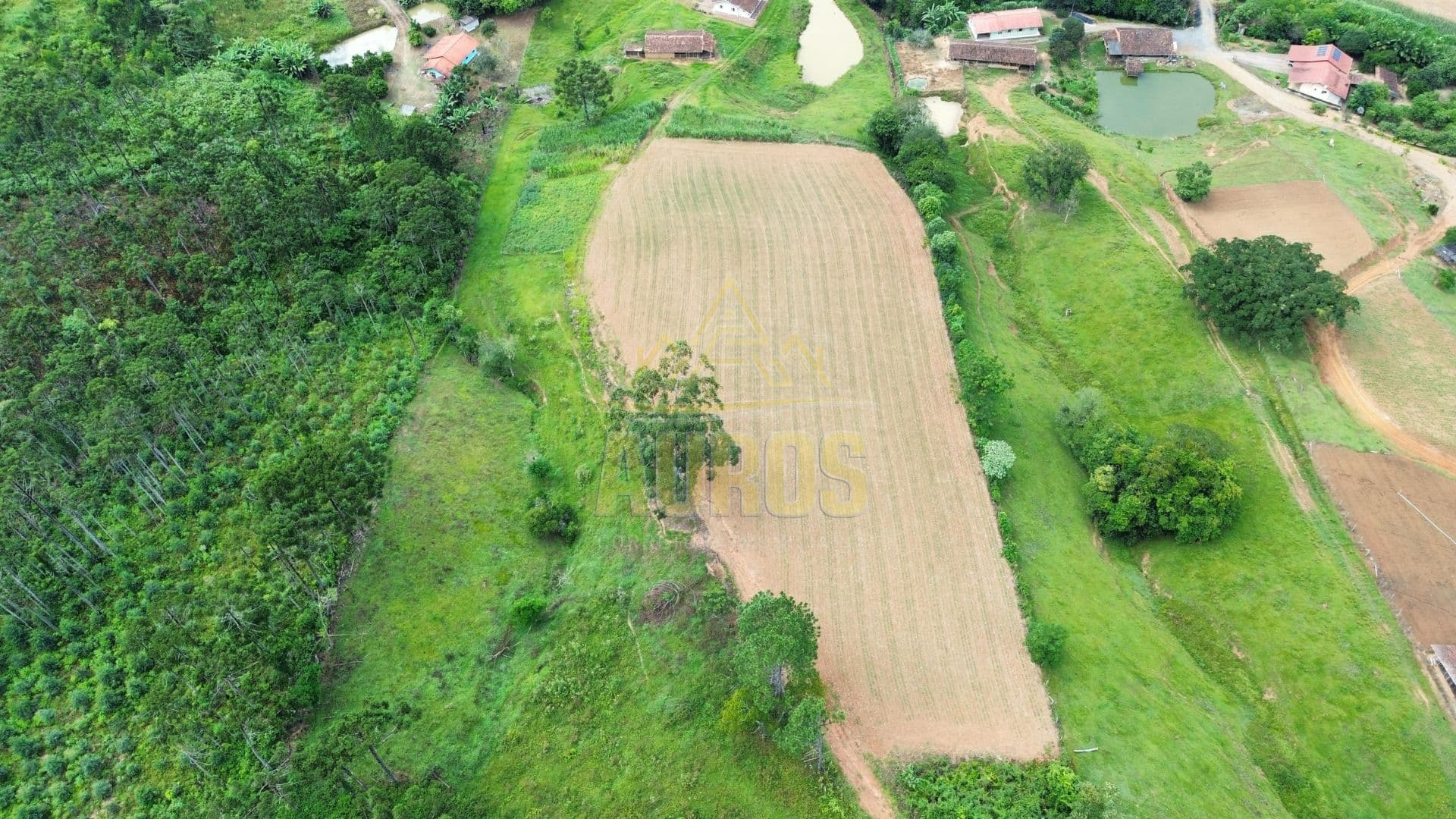 Sítio com Casa e Rancho – 12 Hectares no Alto Concórdia, Lontras - Foto 2