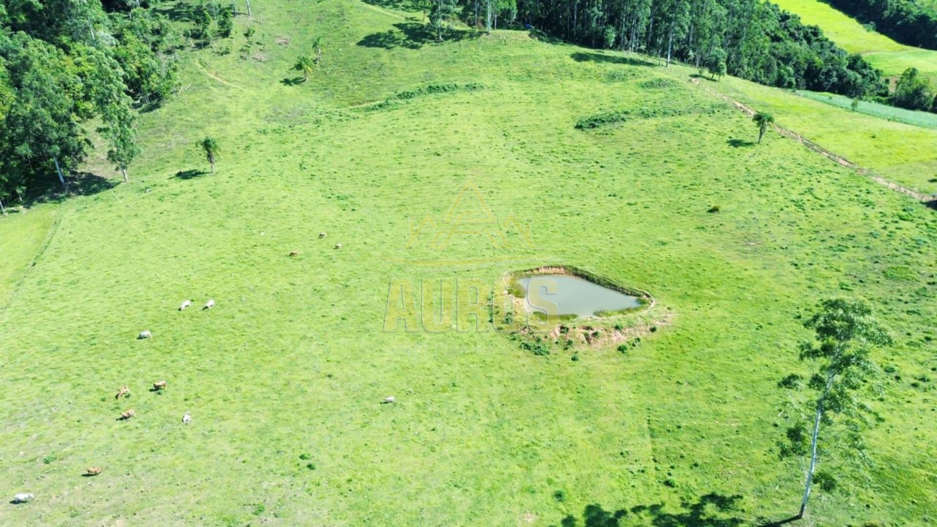 Terreno agrícola à venda em Aurora no Ribeirão Areia – 9,5 hectares  - Foto 3
