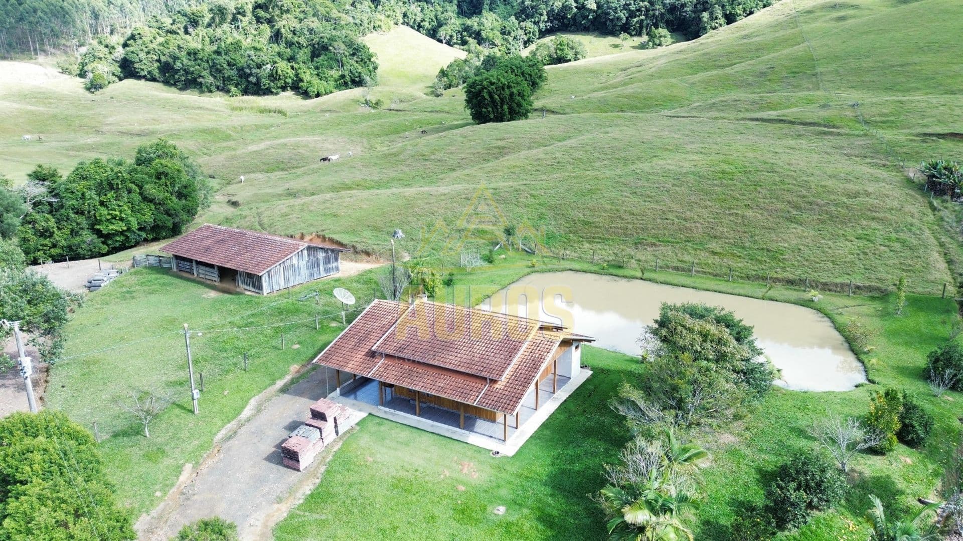 Sítio à venda com 20 hectares, pastagem, casa e lagoa na Valada São Paulo – Rio do Sul - Foto 2