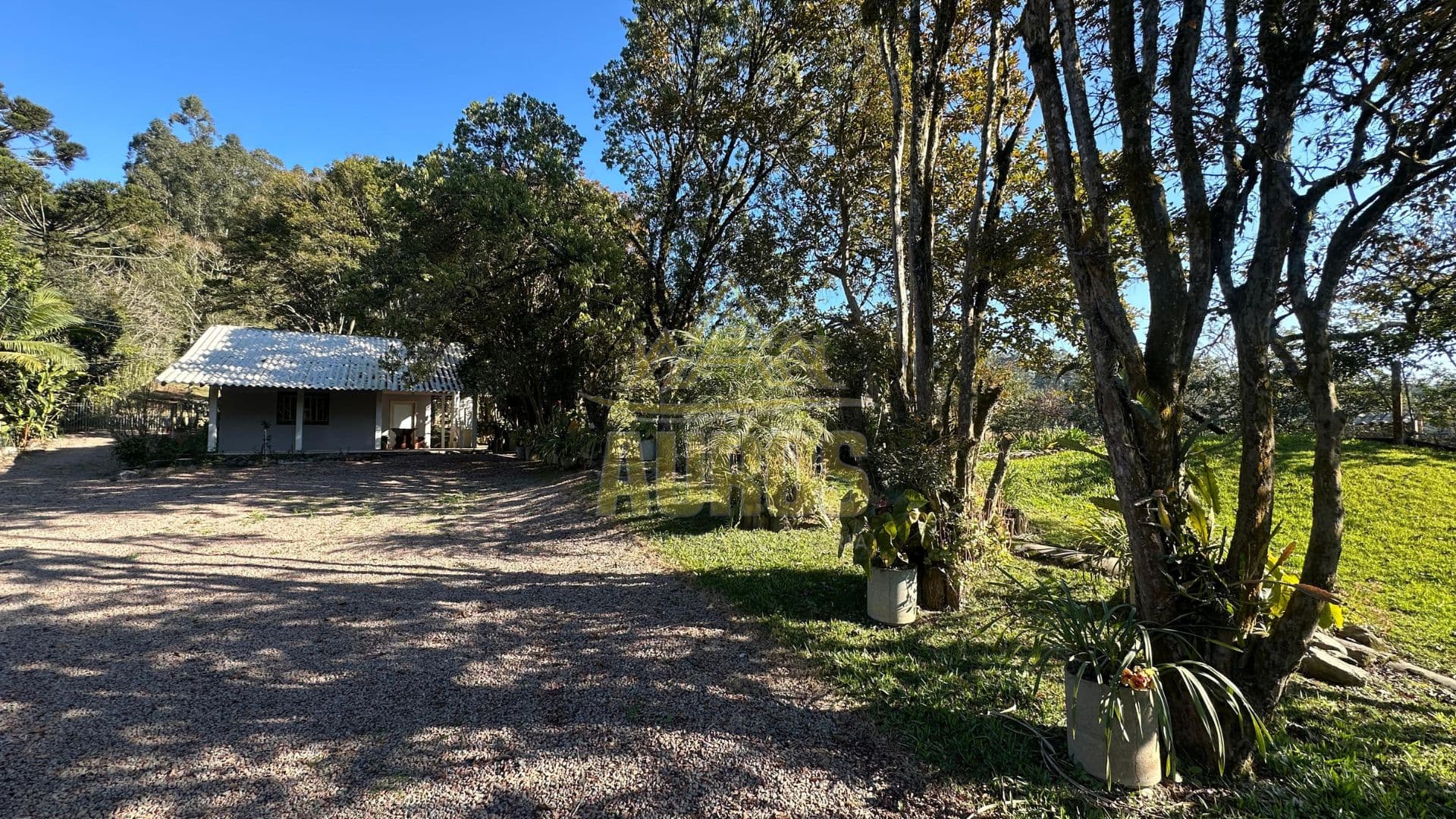 Sítio à venda na Albertina em Rio do Sul com casa pronta, lagoa e pomar - Foto 4