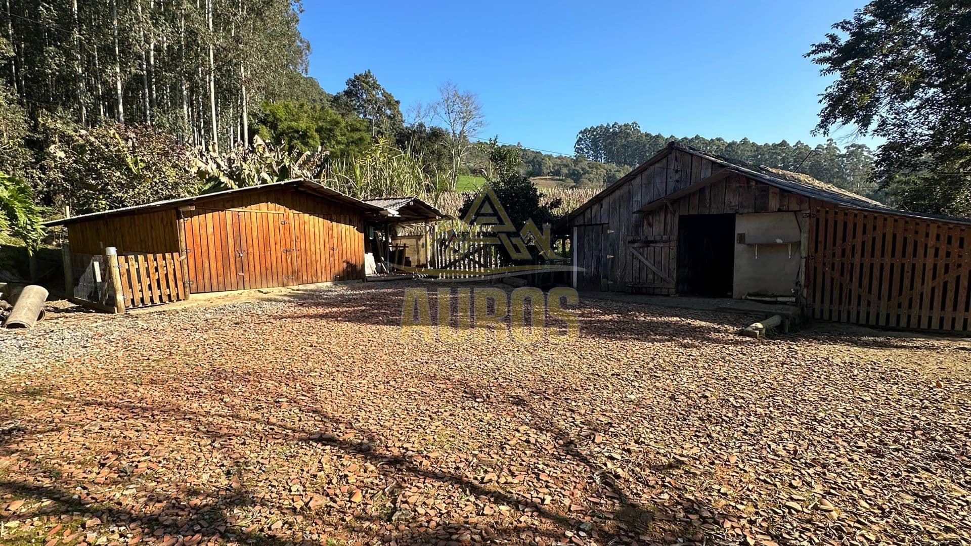 Sítio à venda na Albertina em Rio do Sul com casa pronta, lagoa e pomar - Foto 5