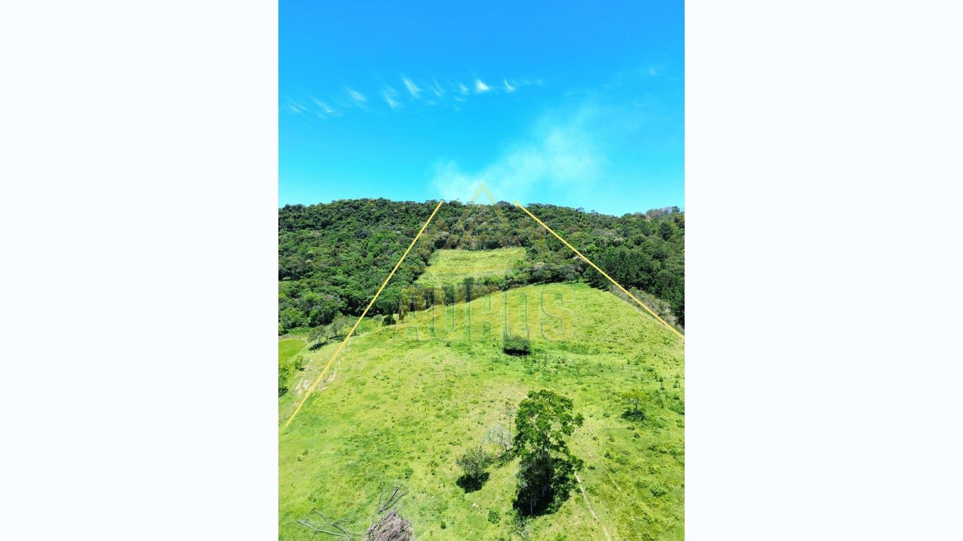 Sítio à venda na Albertina com 7 hectares e acesso particular - Foto 2
