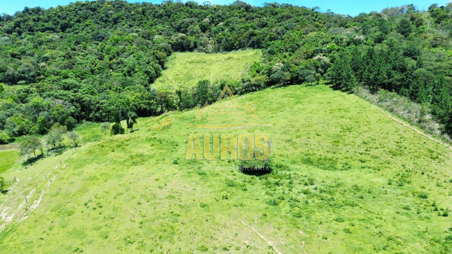 Sítio à venda na Albertina com 7 hectares e acesso particular - Foto 1