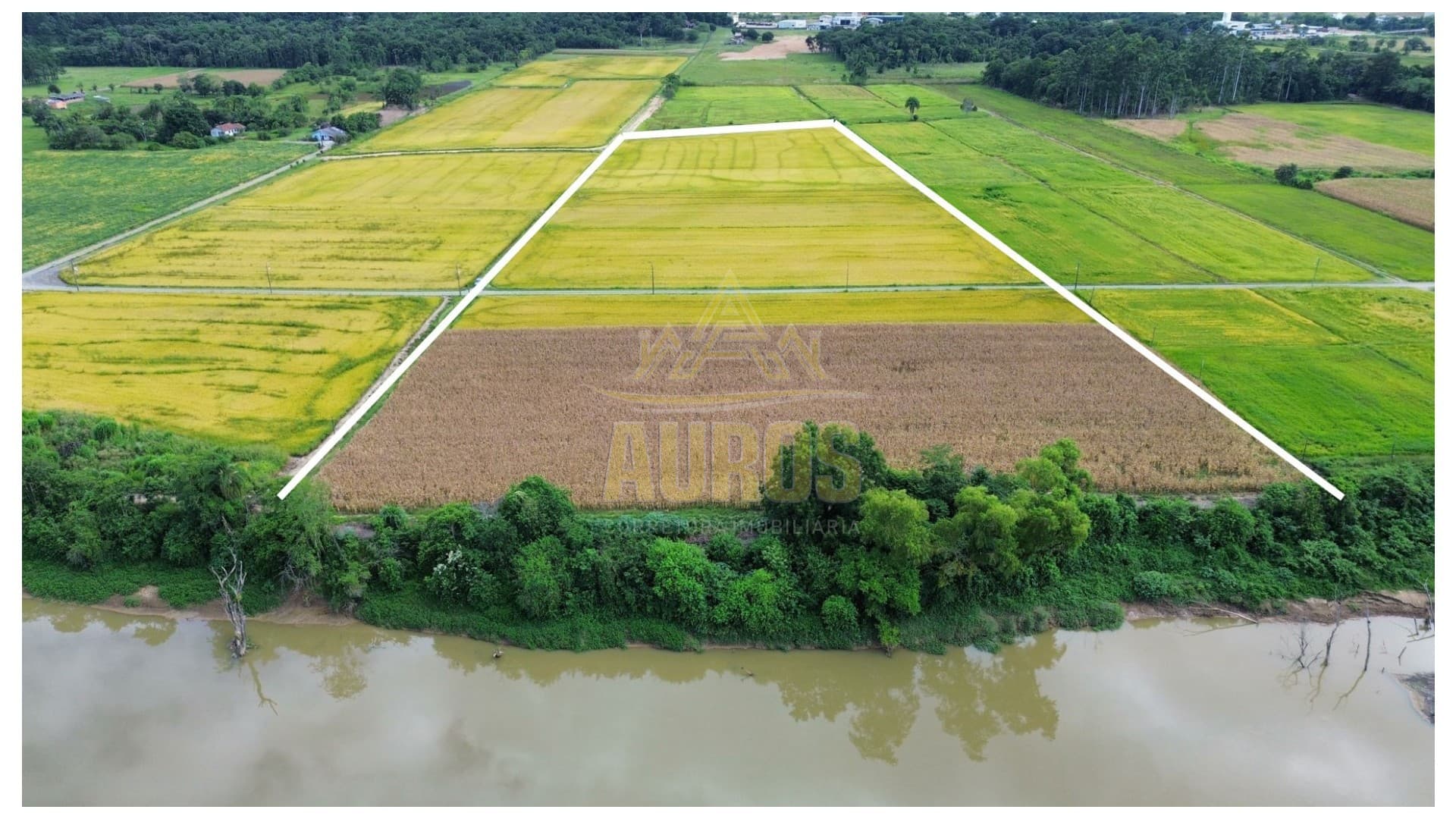 Terreno com Arrozeira à Venda em Lontras