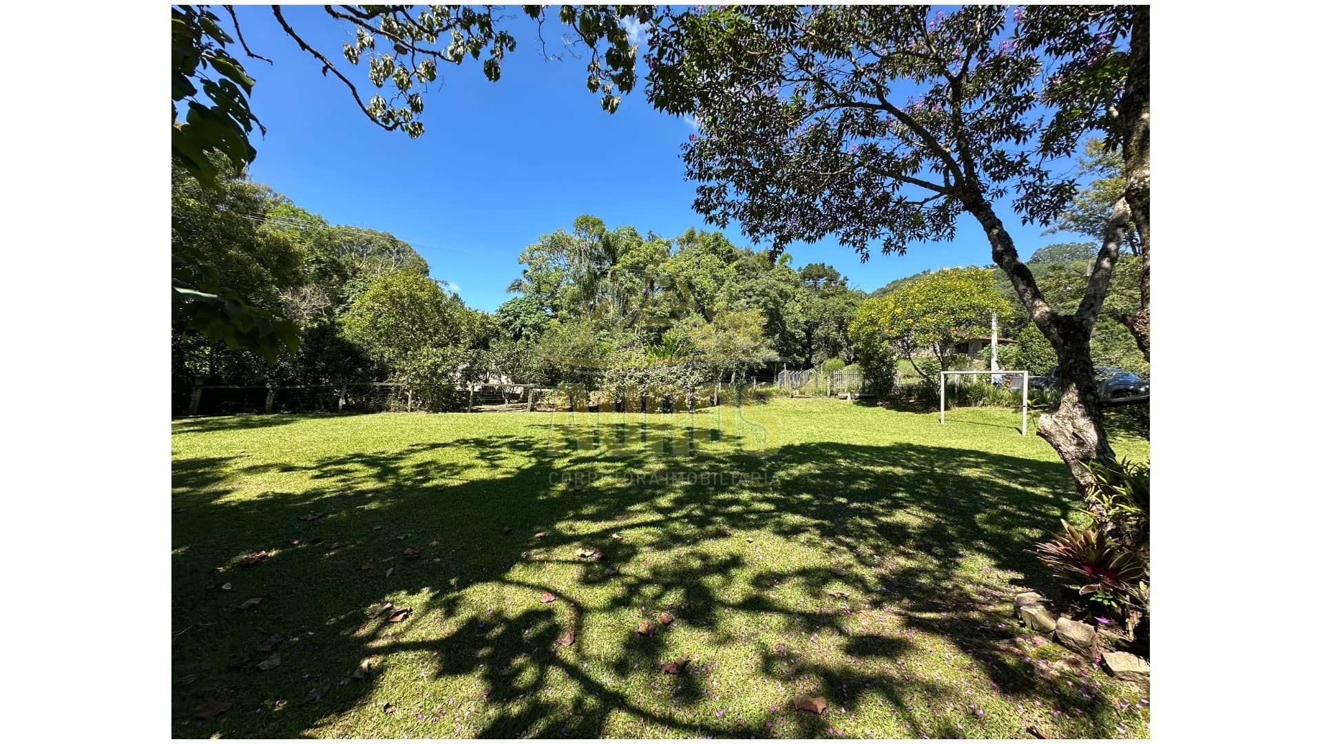 Sítio à Venda na Albertina, 8km do centro de Rio do Sul - Foto 4