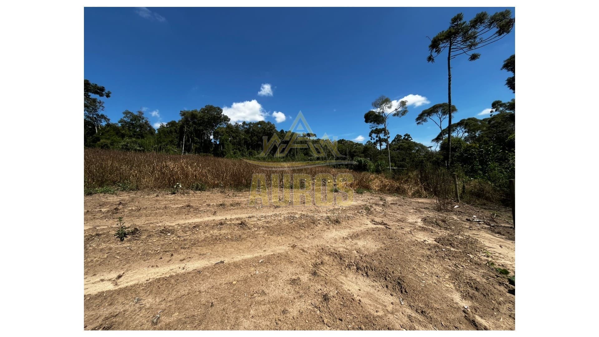 Sítio em Agronômica - Foto 2