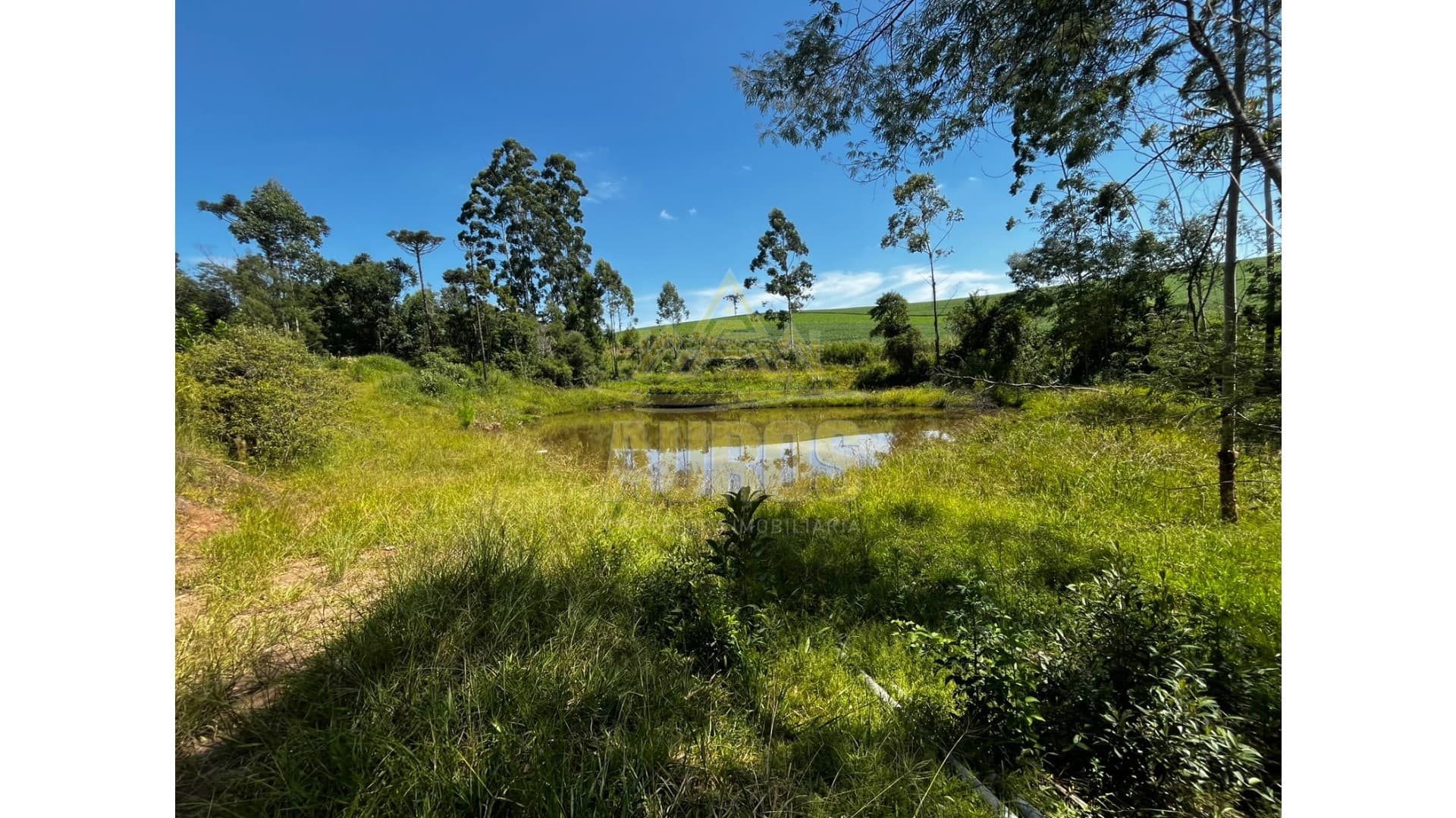 Sítio em Agronômica - Foto 1