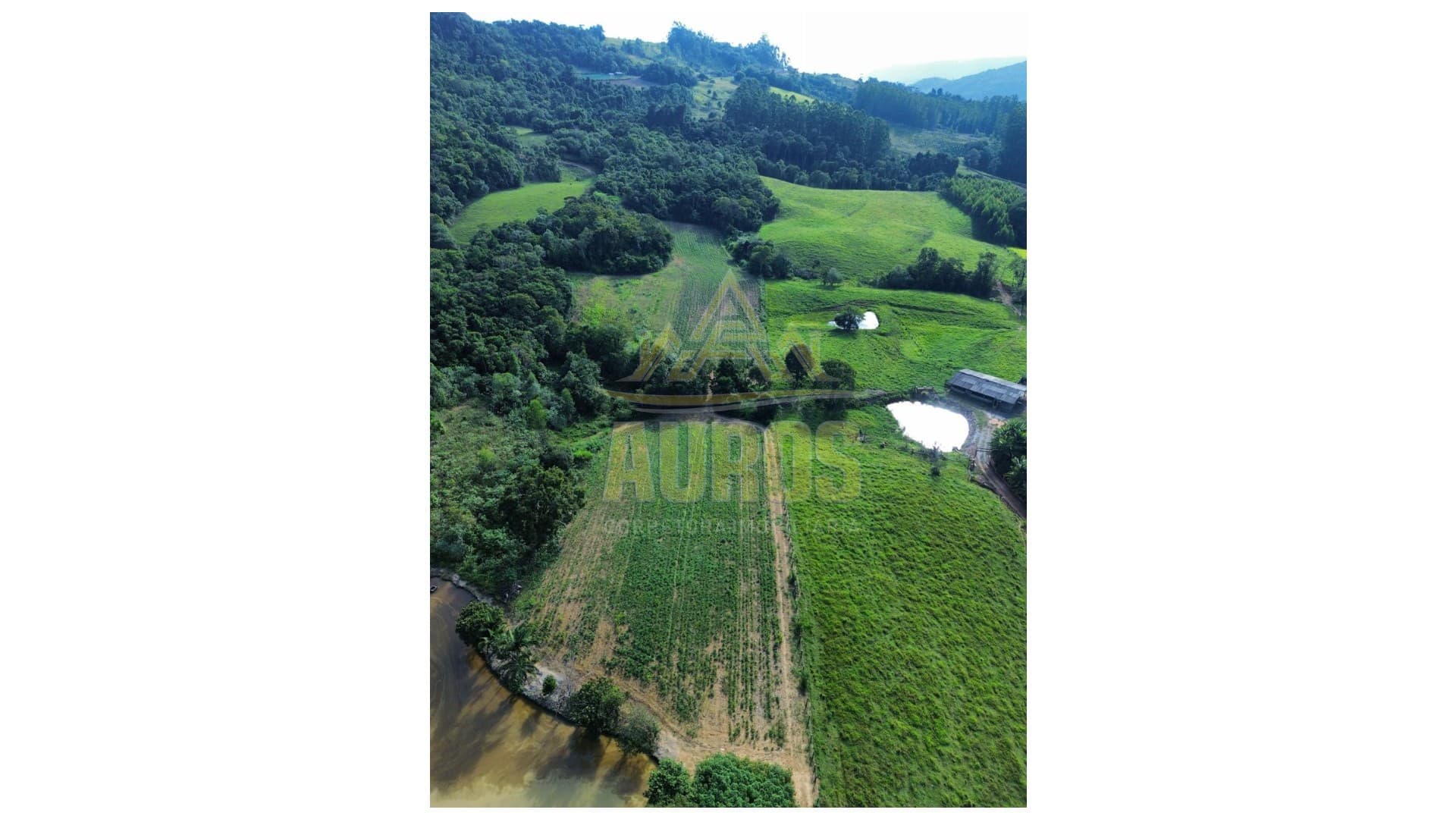Terreno Agrícola no Ribeirão Concórdia em Lontras - Foto 2