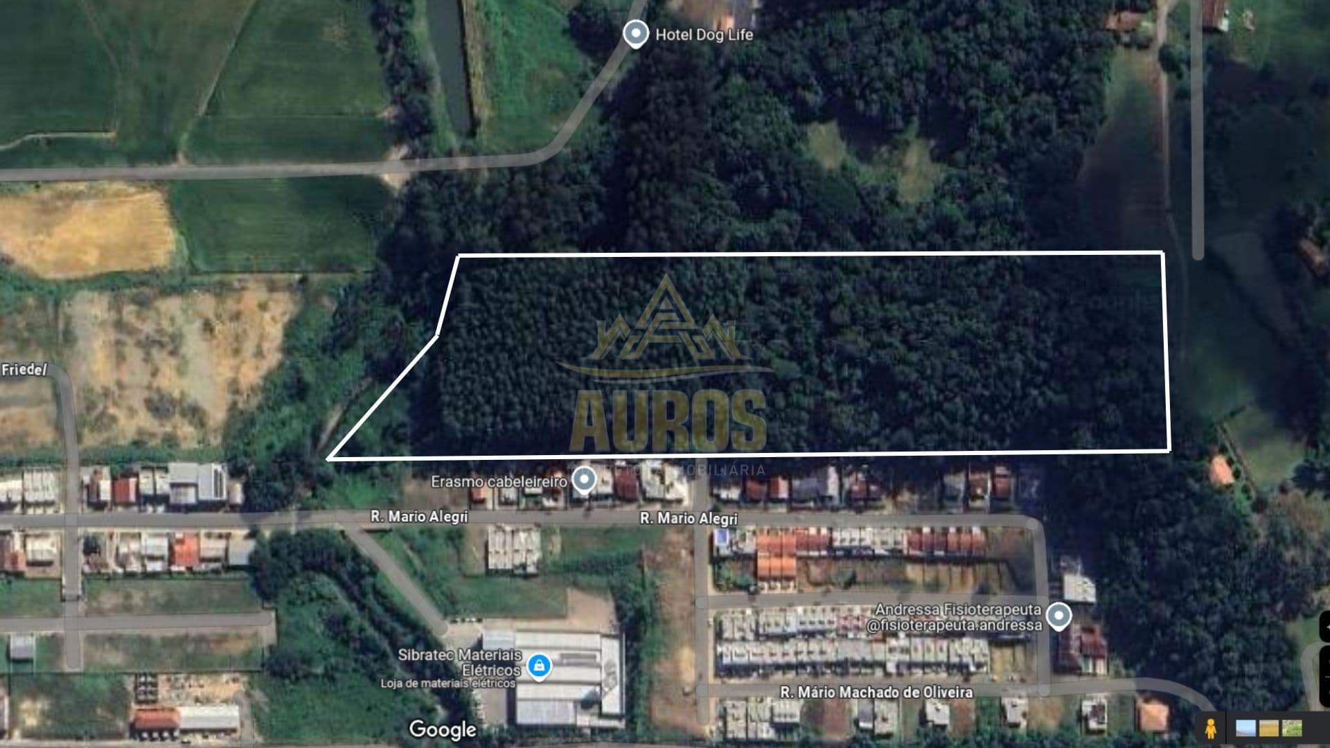 Terreno de 4,5 Hectares no bairro Taboão em Rio do Sul - Imagem 1