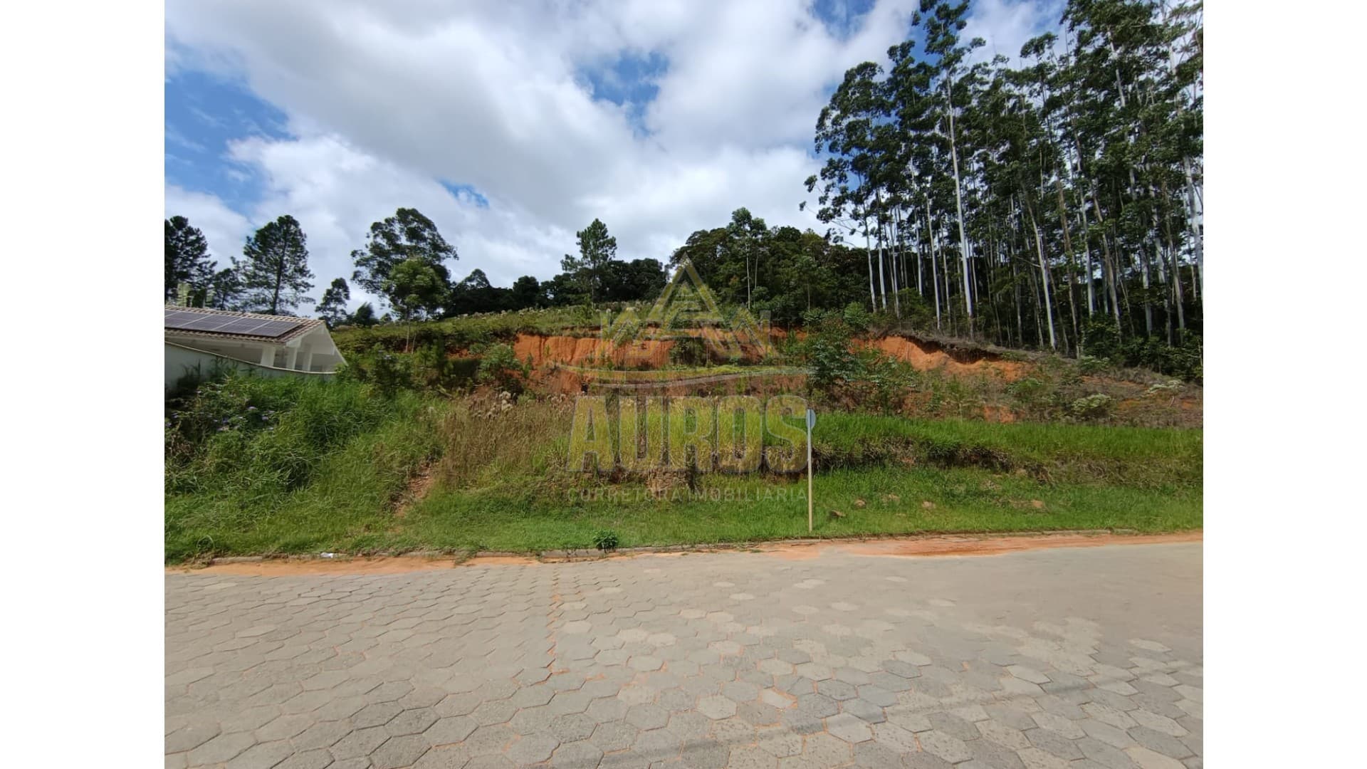 Terreno com 5.900,00 m² no Bairro Vila Nova em Ascurra - Imagem 2